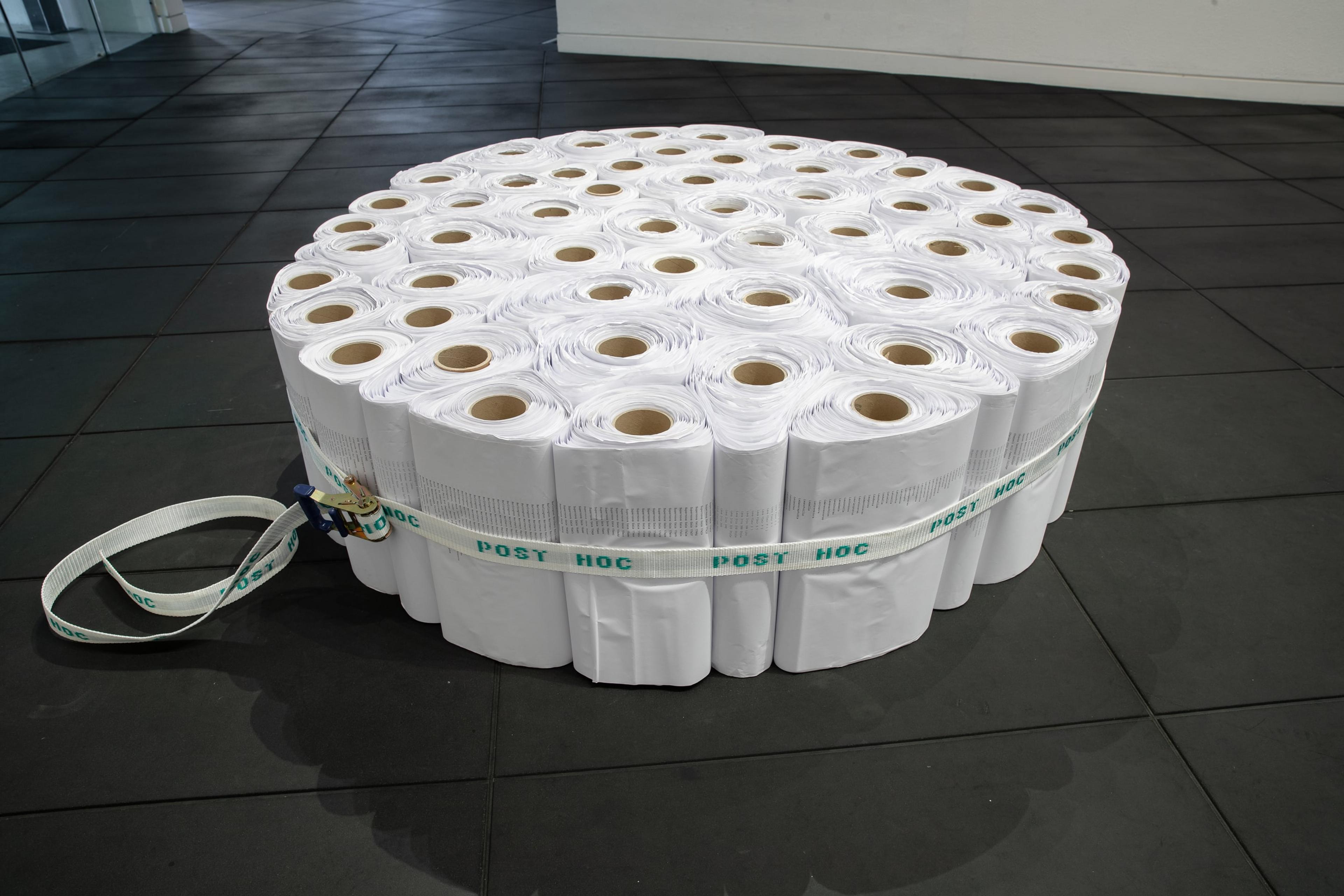 Dane Mitchell, Post Hoc Relic