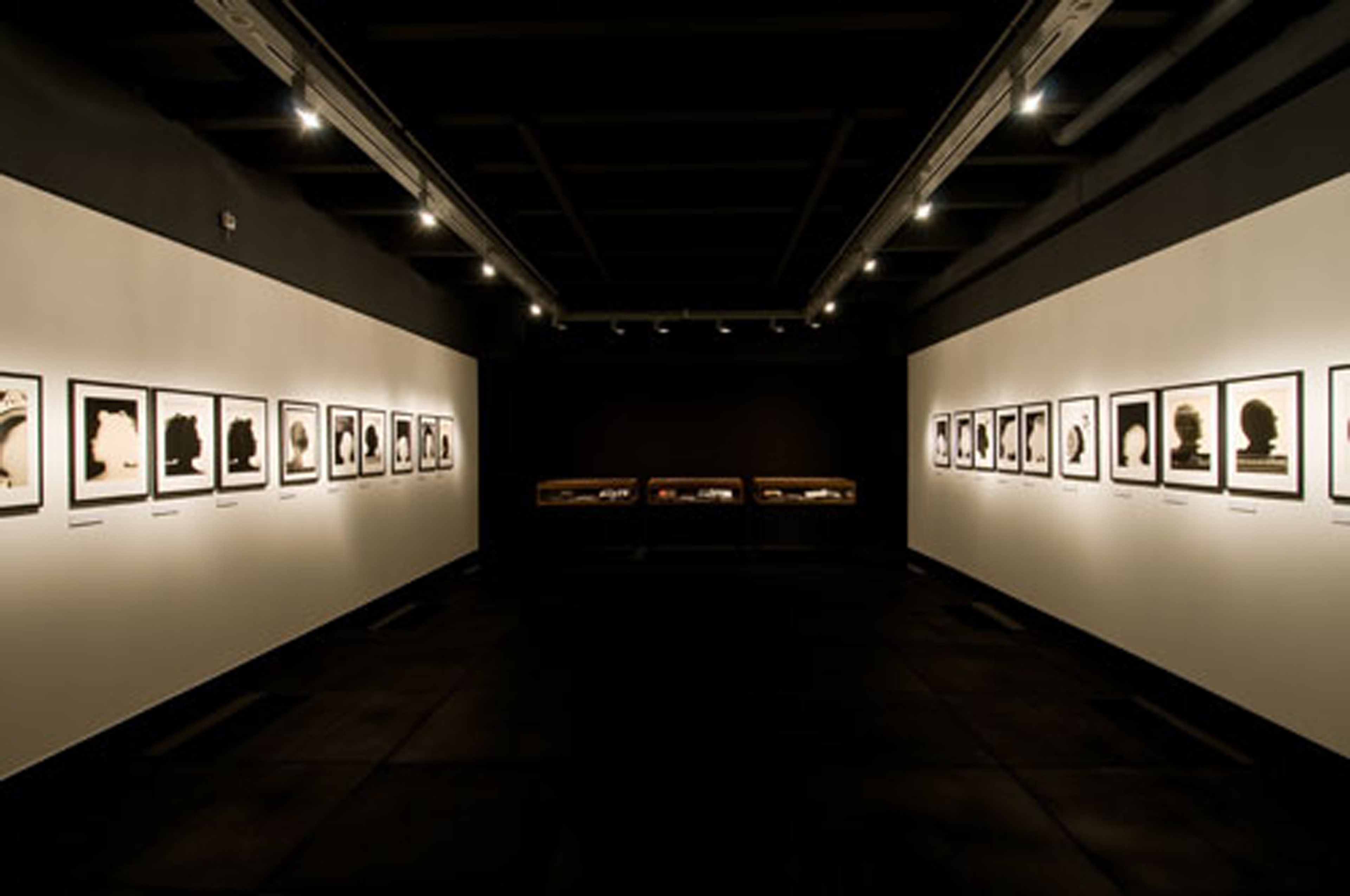 Shadowgraphs: Photographic Portraits by Len Lye. Installation November 2011. Photo: Robert Cross.