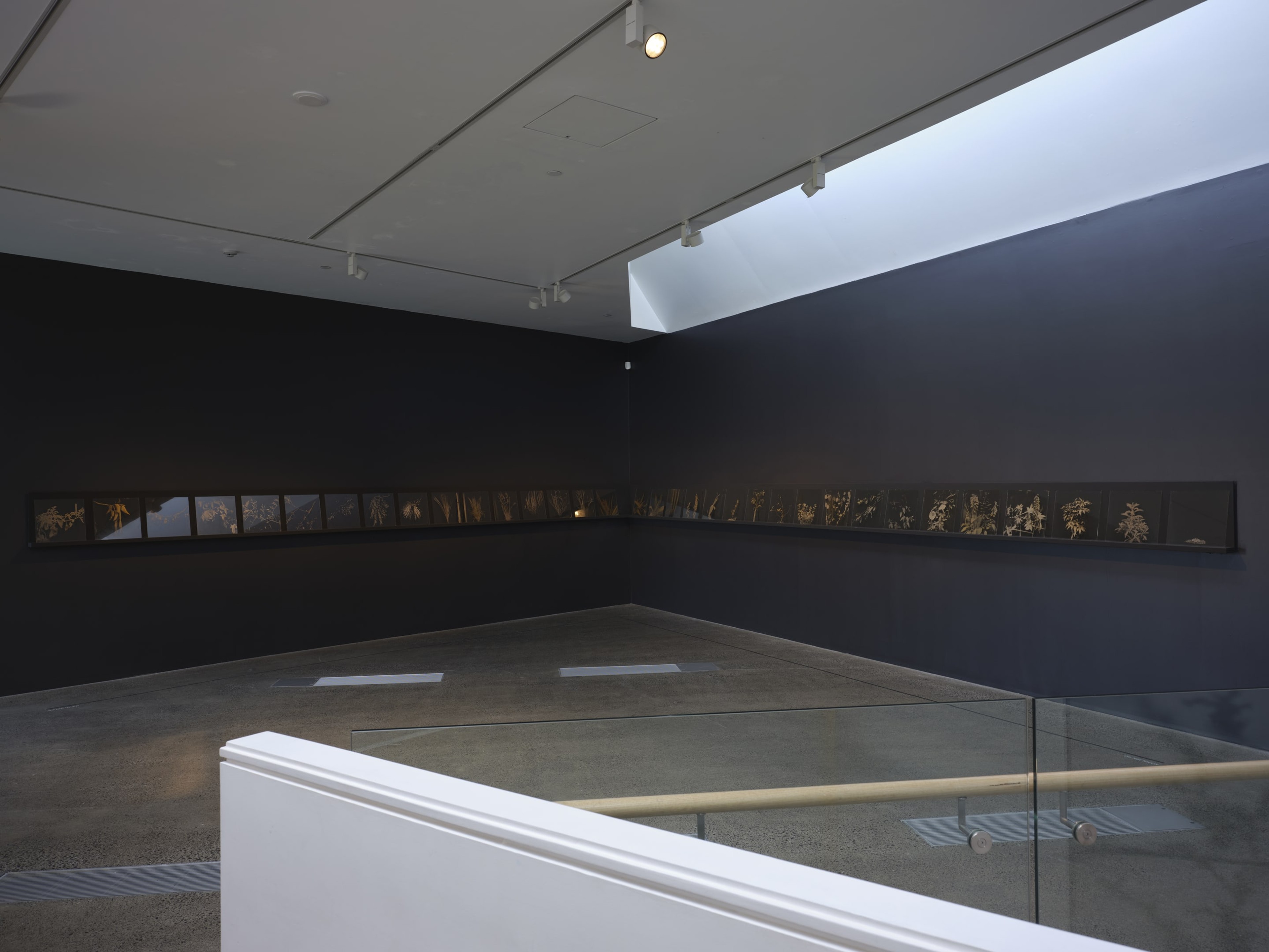 Joyce Campbell On the Last Afternoon installation image Te Uru