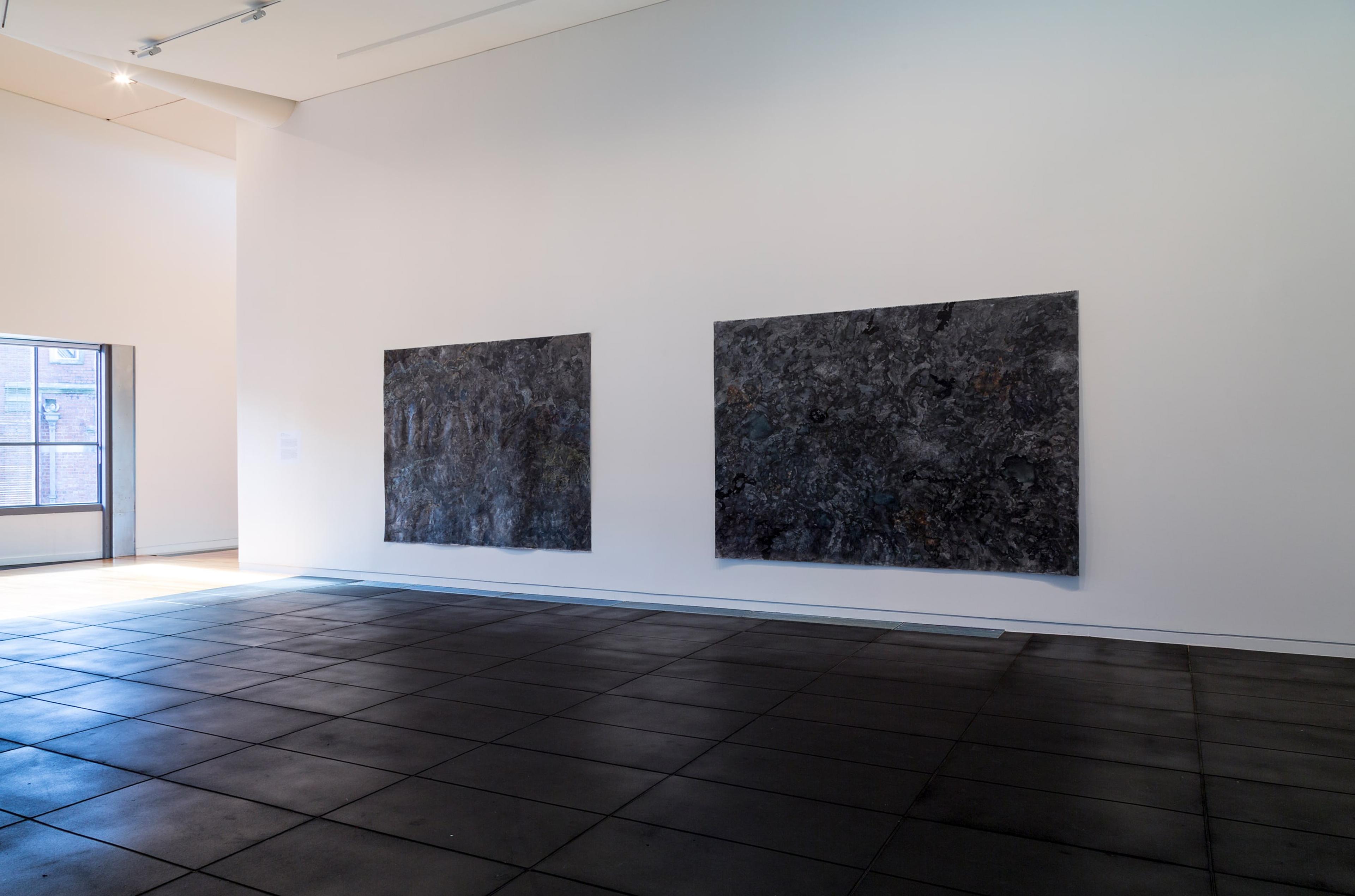 Sarah Treadwell, Oceanic Section 1 & 2, 2014-5, mixed media on unstretched canvas, in the exhibition Drawing Is/Not Building at the Adam Art Gallery Te Pātaka Toi, Victoria University of Wellington (photo: Shaun Waugh)