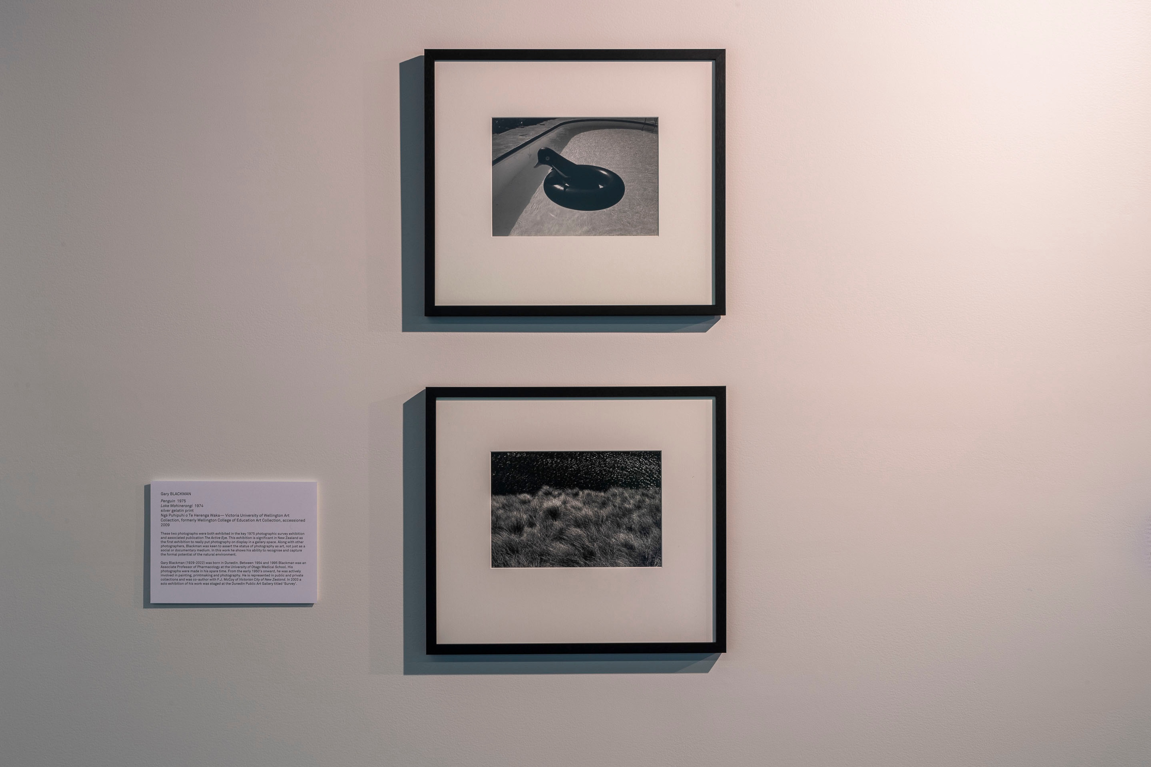 Installation view Gary Blackman photographs