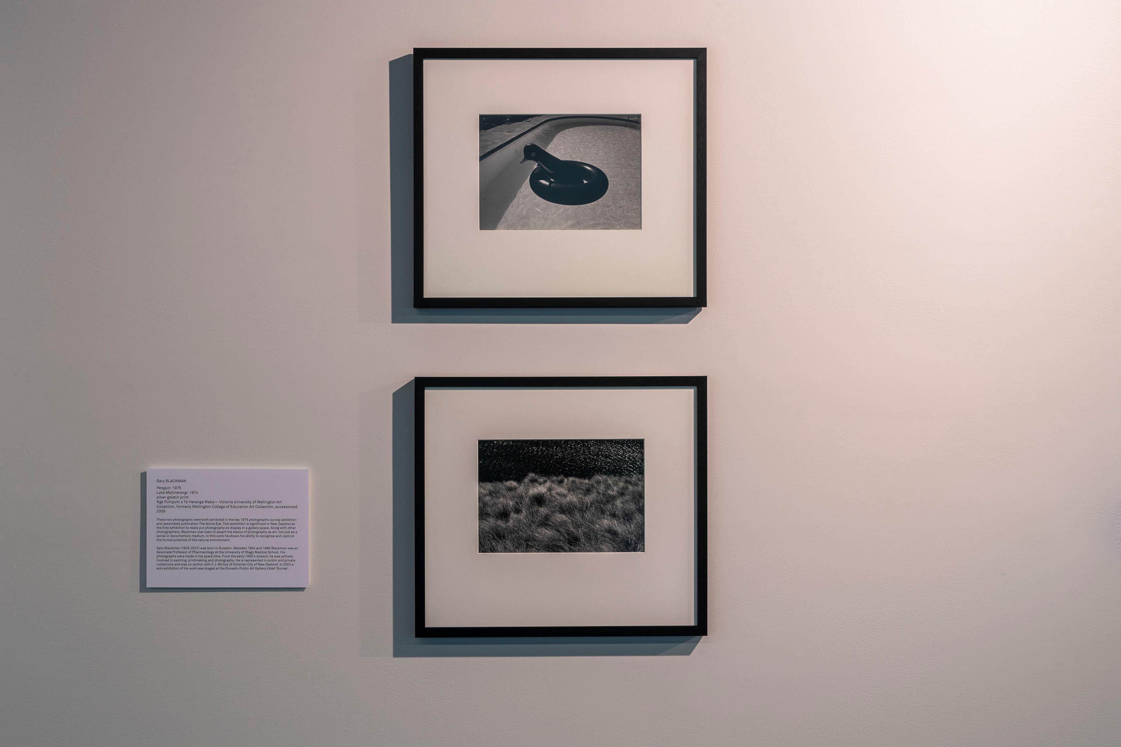 Installation view Gary Blackman photographs