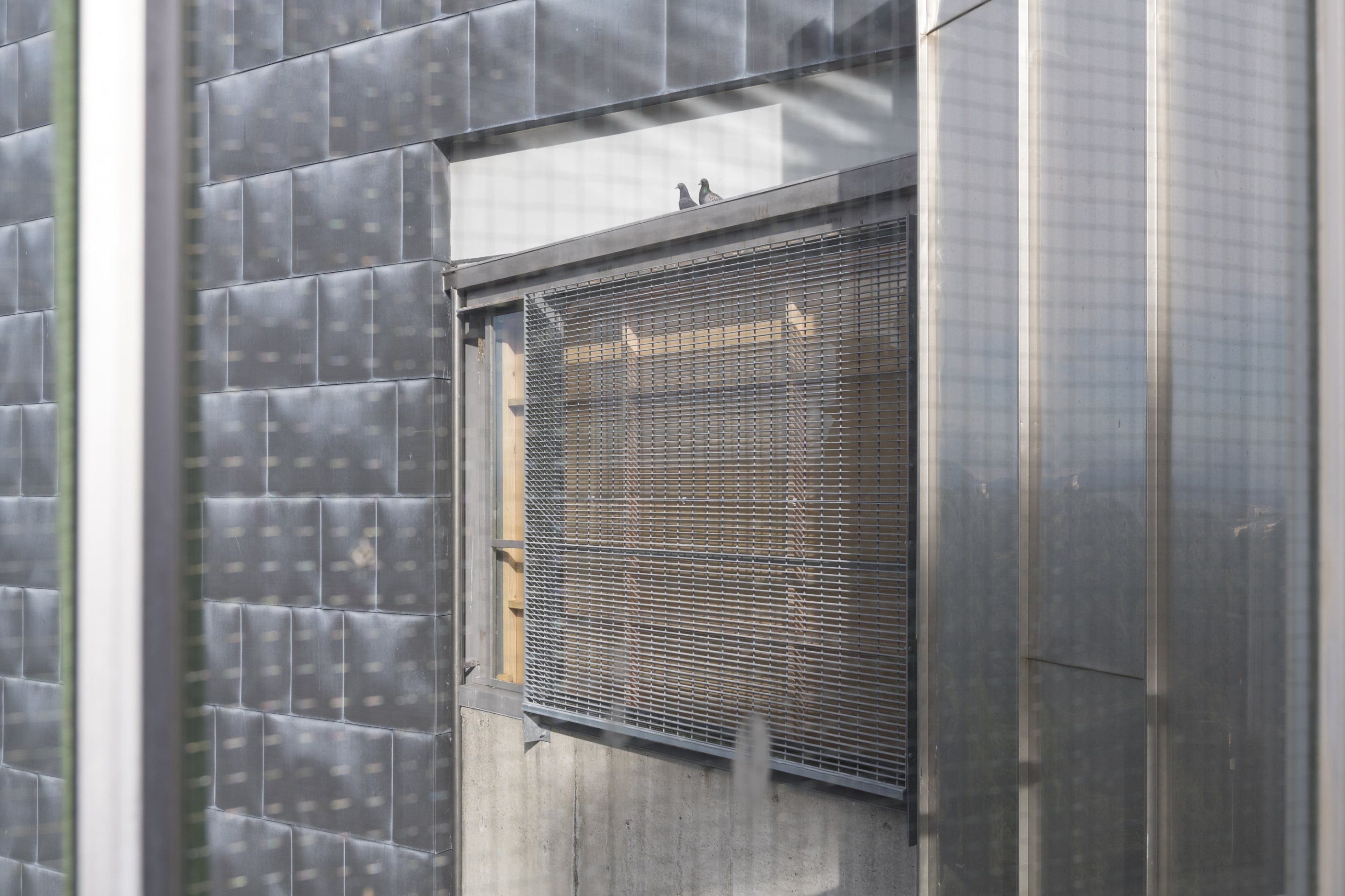 Installation view, Luke Willis Thompson, Adam Art Gallery Te Pātaka Toi, Victoria University of Wellington, 21 February – 15 April 2018