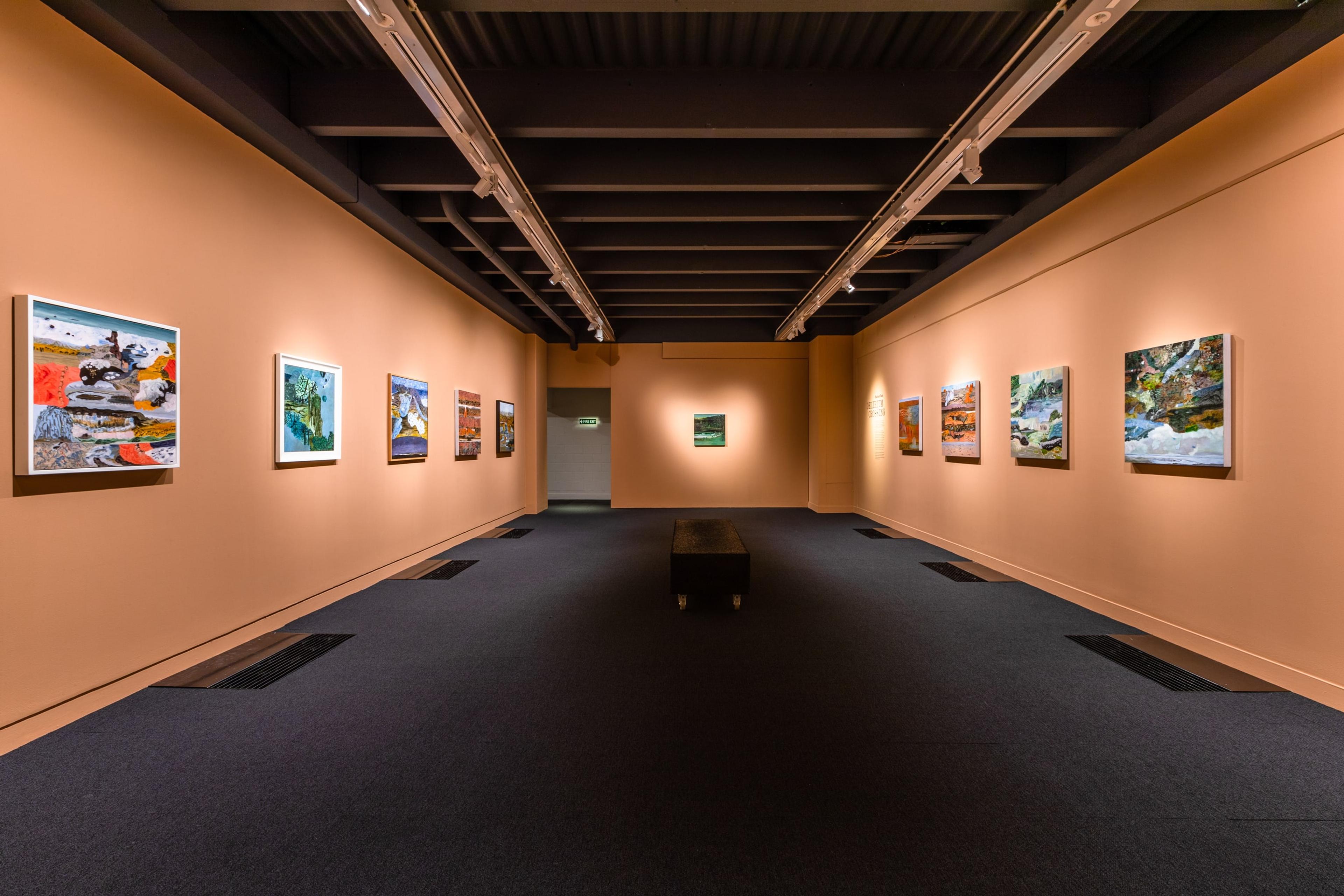 Installation view, Barbara Tuck – Delirium Crossing, Te Pātaka Toi Adam Art Gallery, Wellington, Victoria University of Wellington. Photo by Ted Whitaker.