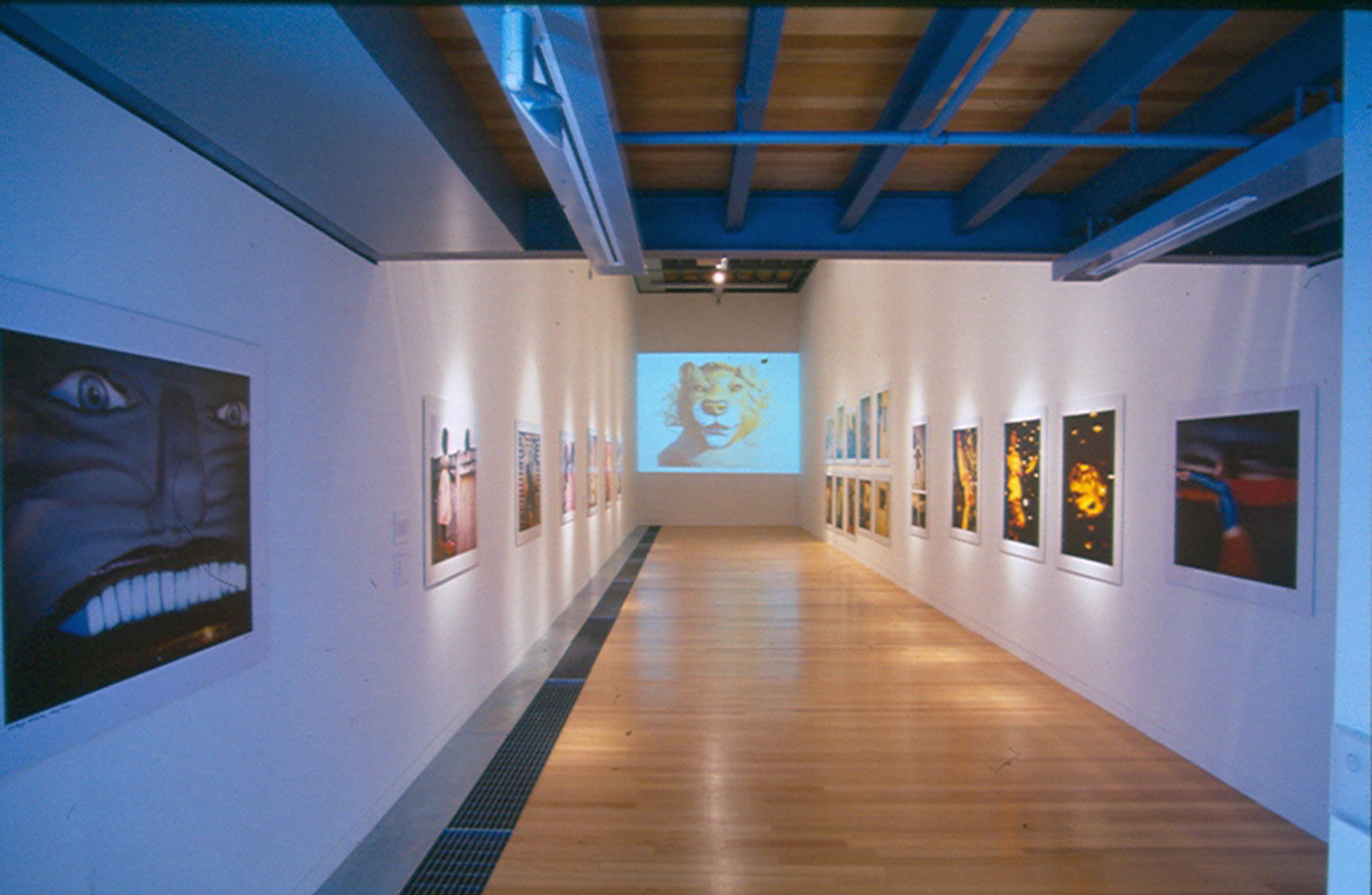 Installation view, Destiny Deacon: Walk + Don't Look Blak, Adam Art Gallery Te Pātaka Toi, Victoria University of Wellington, 2005