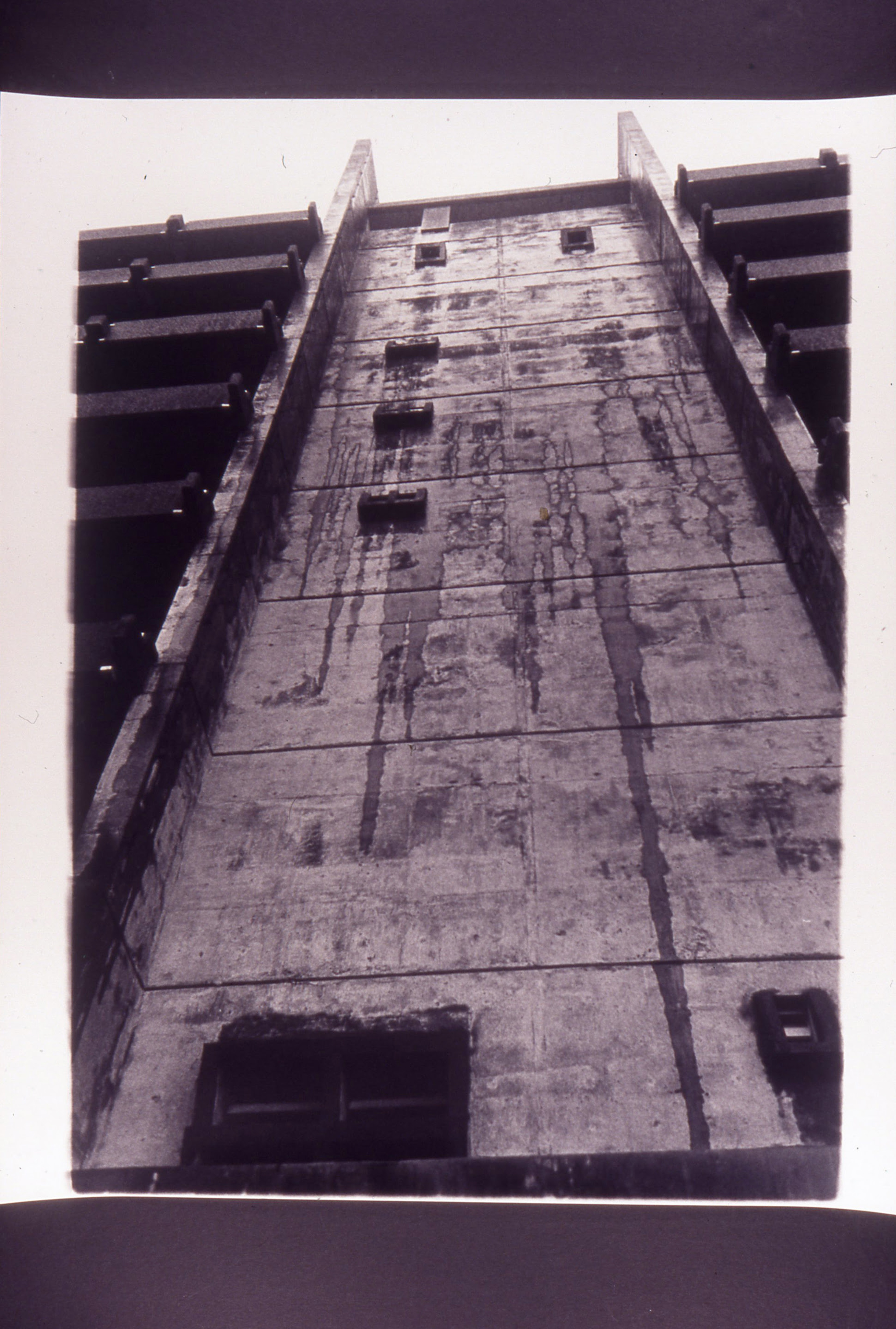 Gavin Hipkins, The Habitat (detail), 1999-2000, 72 black and white photographs, 510 x 660mm each. Courtesy of the artist