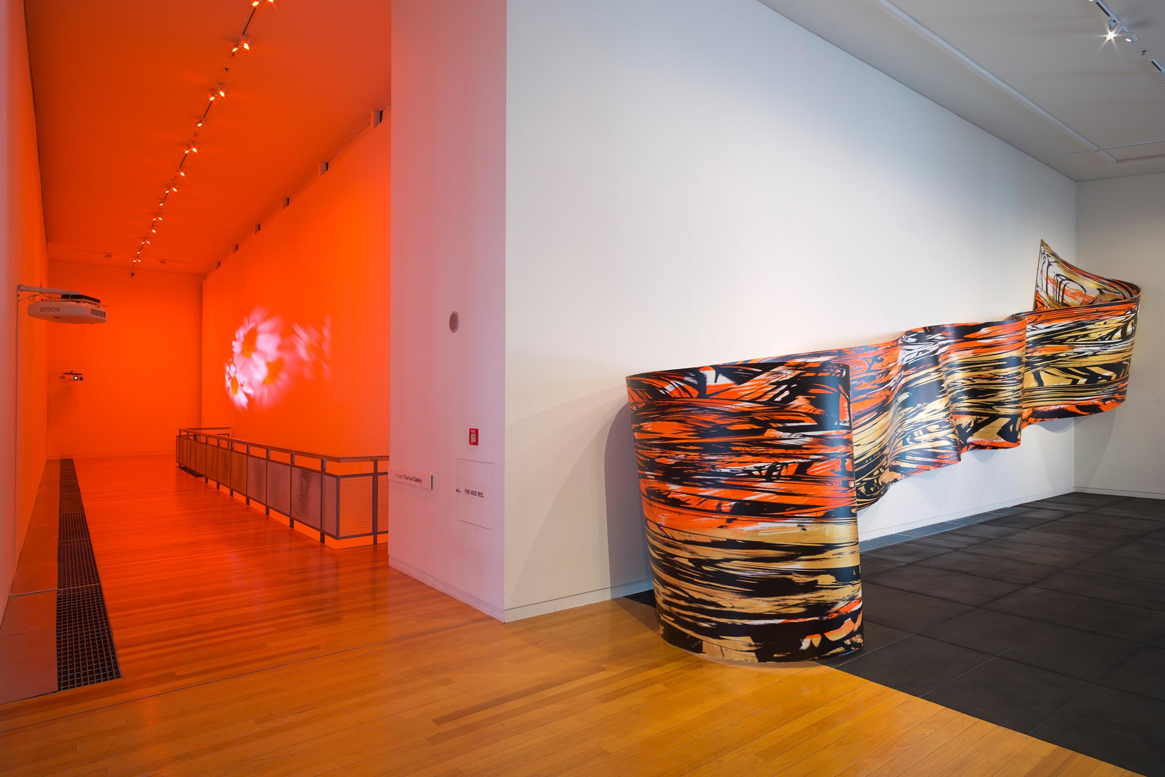 Installation view of Cinema & Painting at the Adam Art Gallery, showing works by Diana Thater and Judy Millar. Photo: Shaun Waugh.