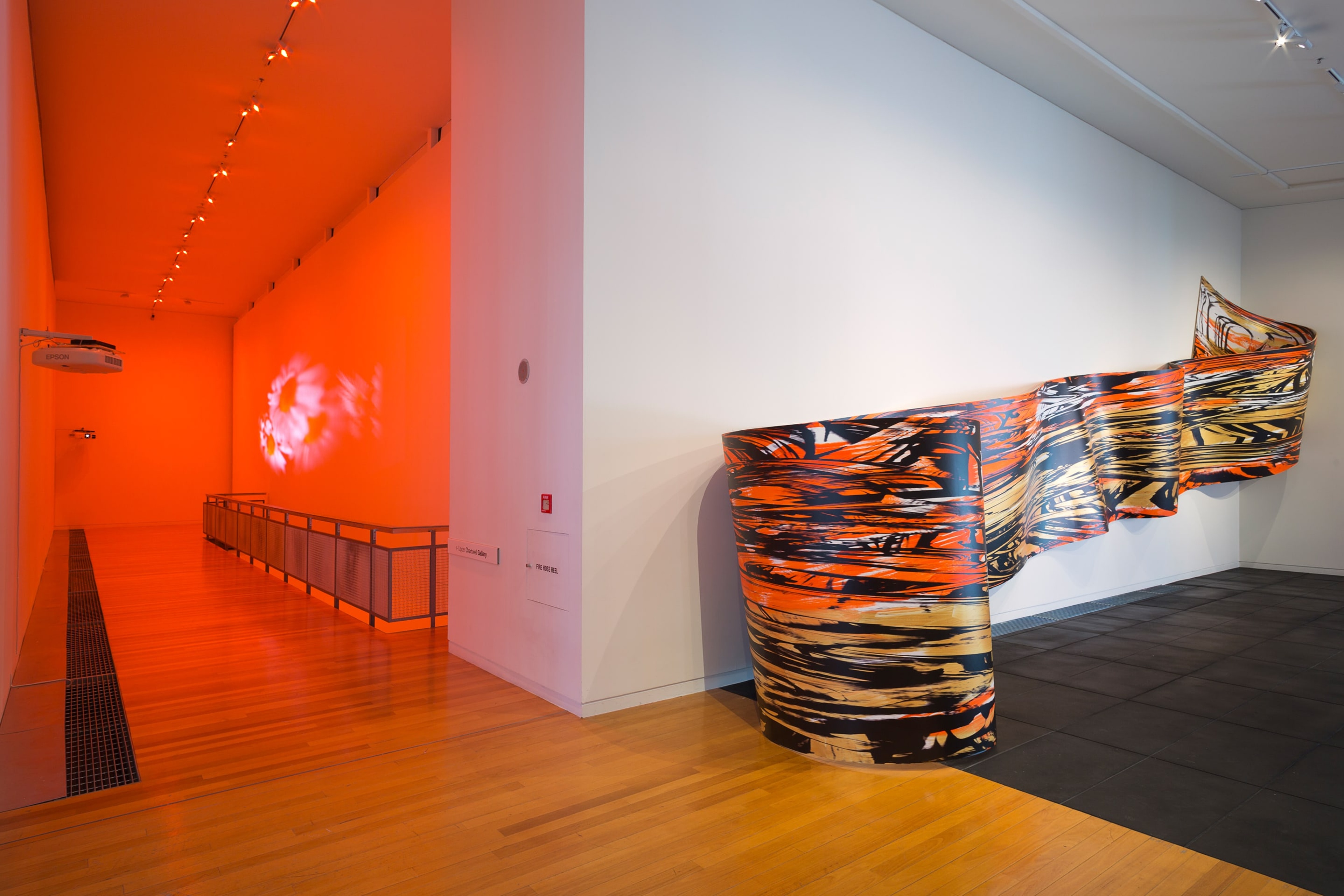 Installation view of Cinema & Painting at the Adam Art Gallery, showing works by Diana Thater and Judy Millar. Photo: Shaun Waugh.