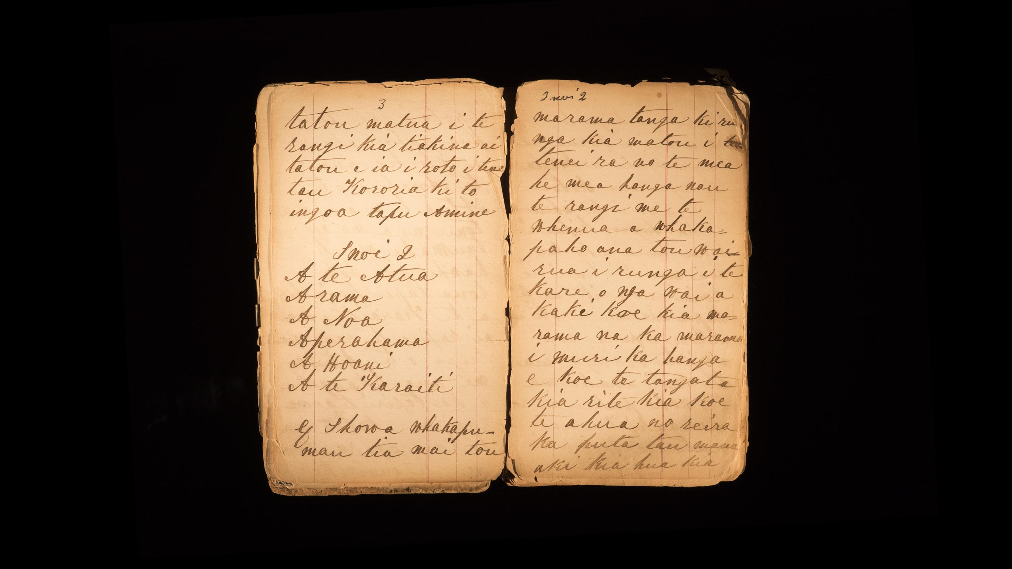 Joyce Campbell, pages from notebook by Te Kooti Arikirangi Te Turuki (detail), colour photograph, 2019.