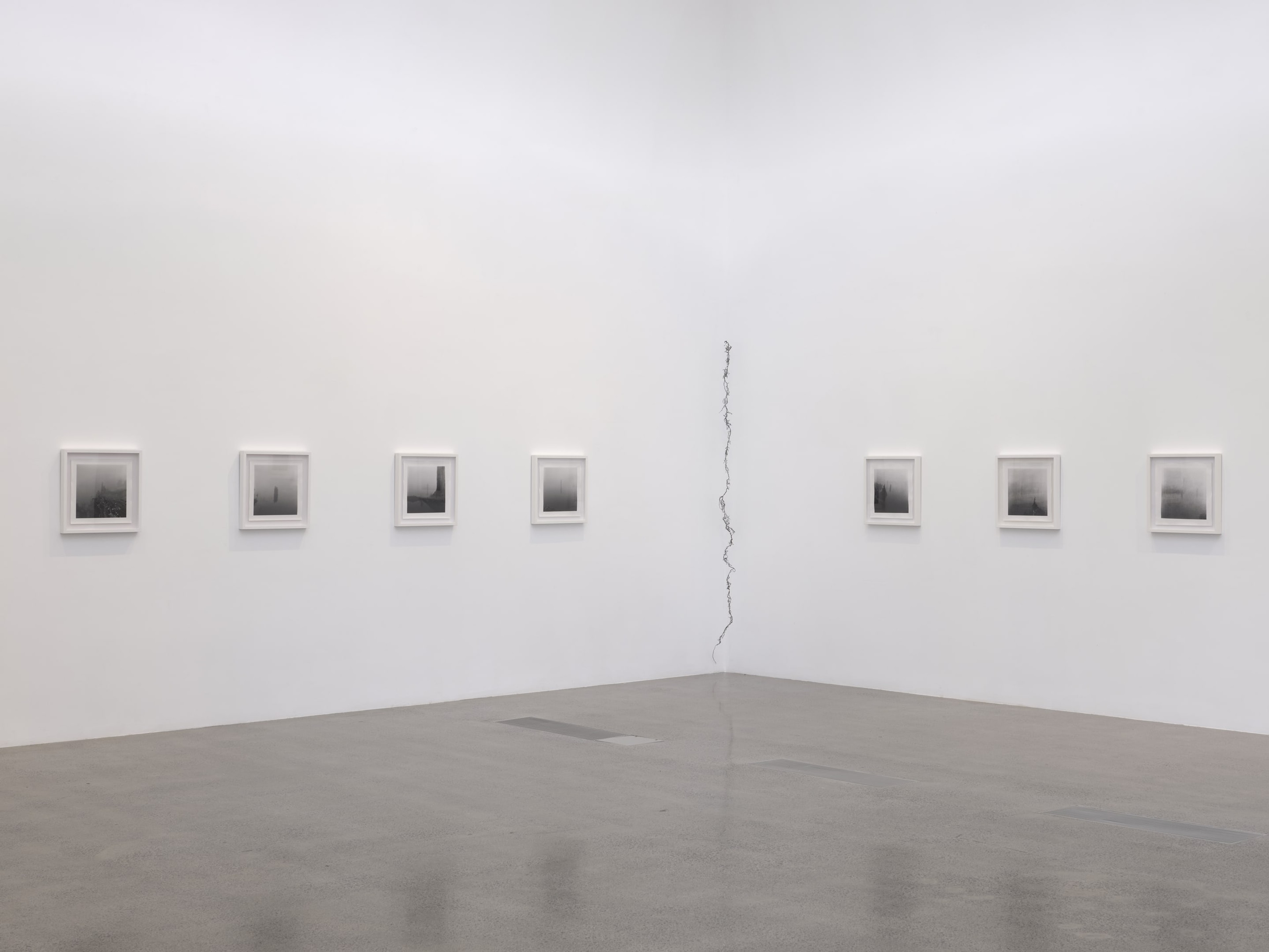 Joyce Campbell On the Last Afternoon installation image Te Uru