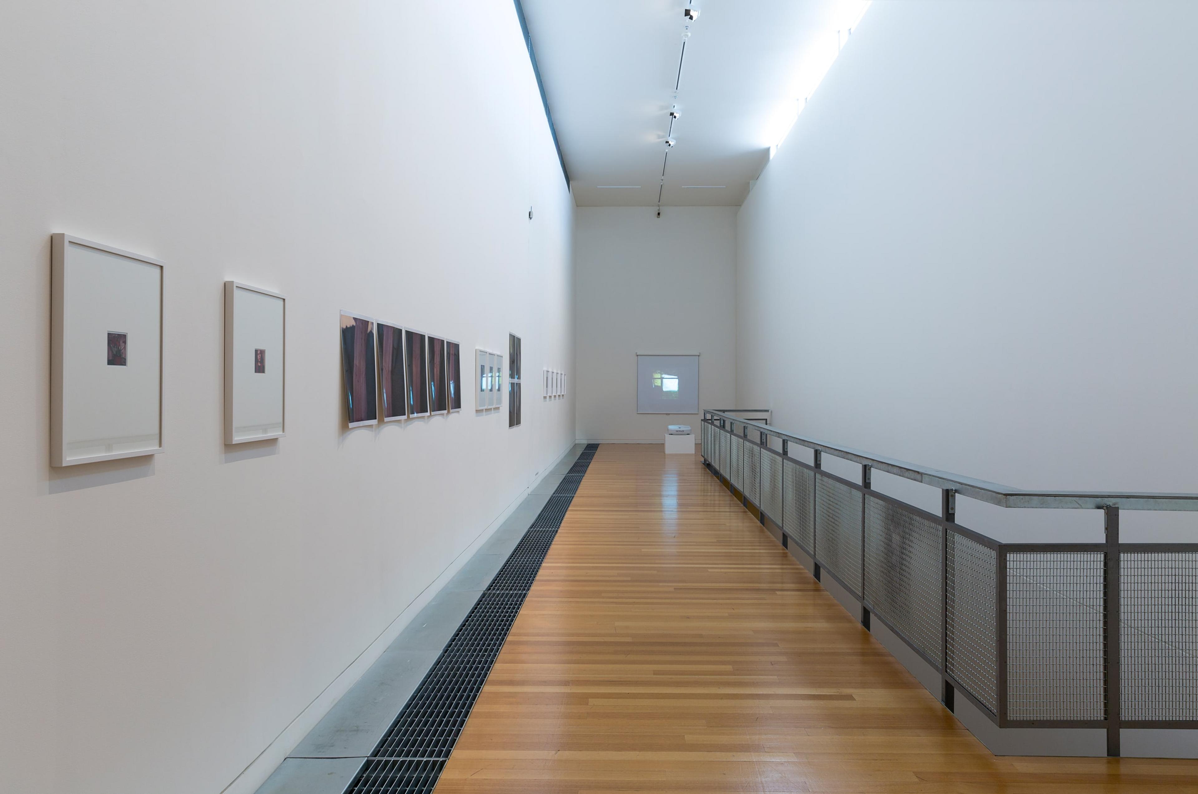 Foreground: Janet Bayly, background: Joanna Margret Paul. In Fragments of a World, curated by Sandy Callister, Adam Art Gallery Te Pātaka Toi, Victoria University of Wellington (photo: Shaun Waugh)