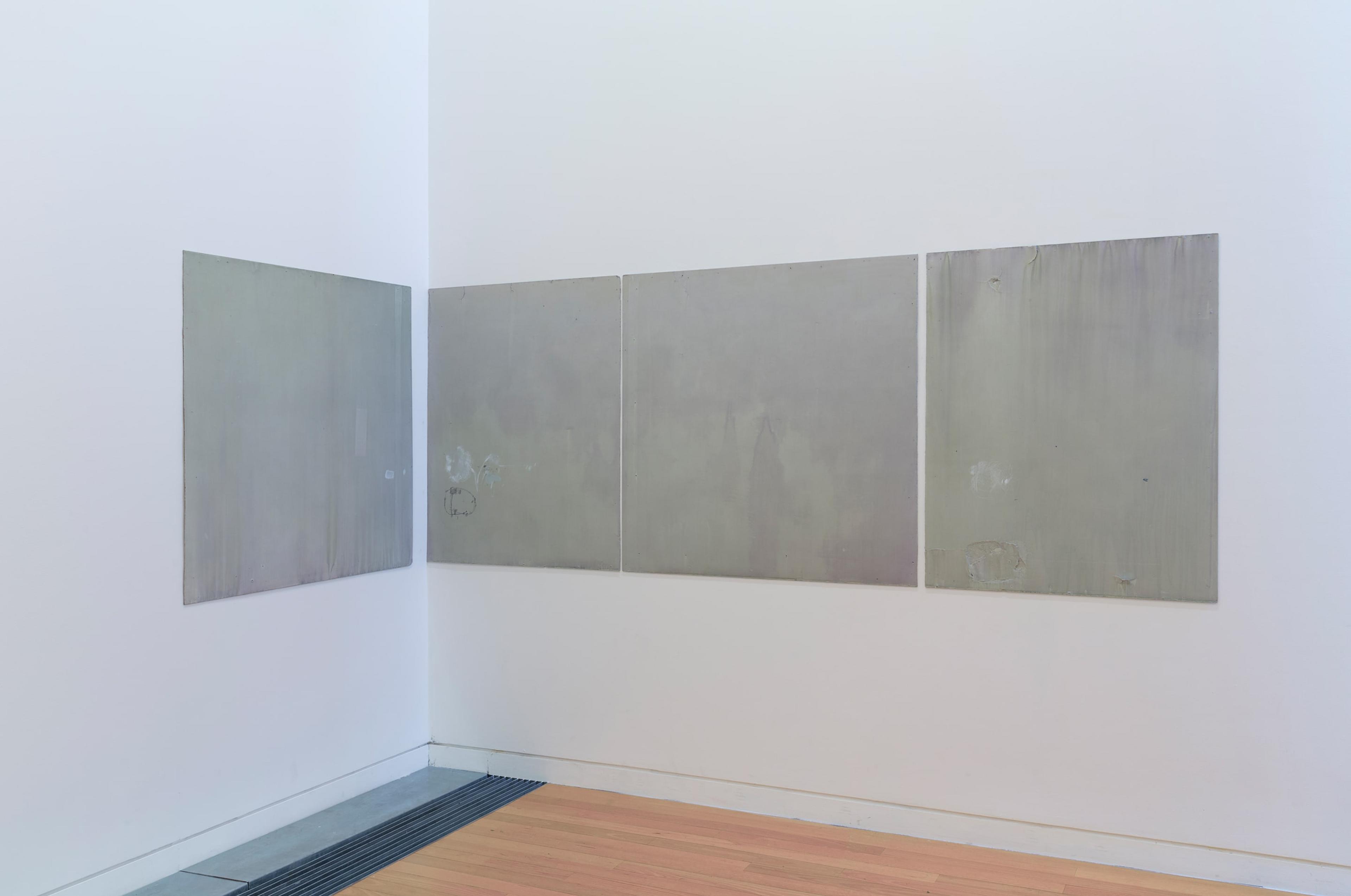 Kim Pieters, …to walk horizontally along the edge of a word, blinded by sun, to forget what was seen, and what there is, and beneath heel, to gather the fiction of a hill (2011), in the exhibition what is a life? kim Pieters at the Adam Art Gallery, Victoria University of Wellington (photo: Shaun Waugh)