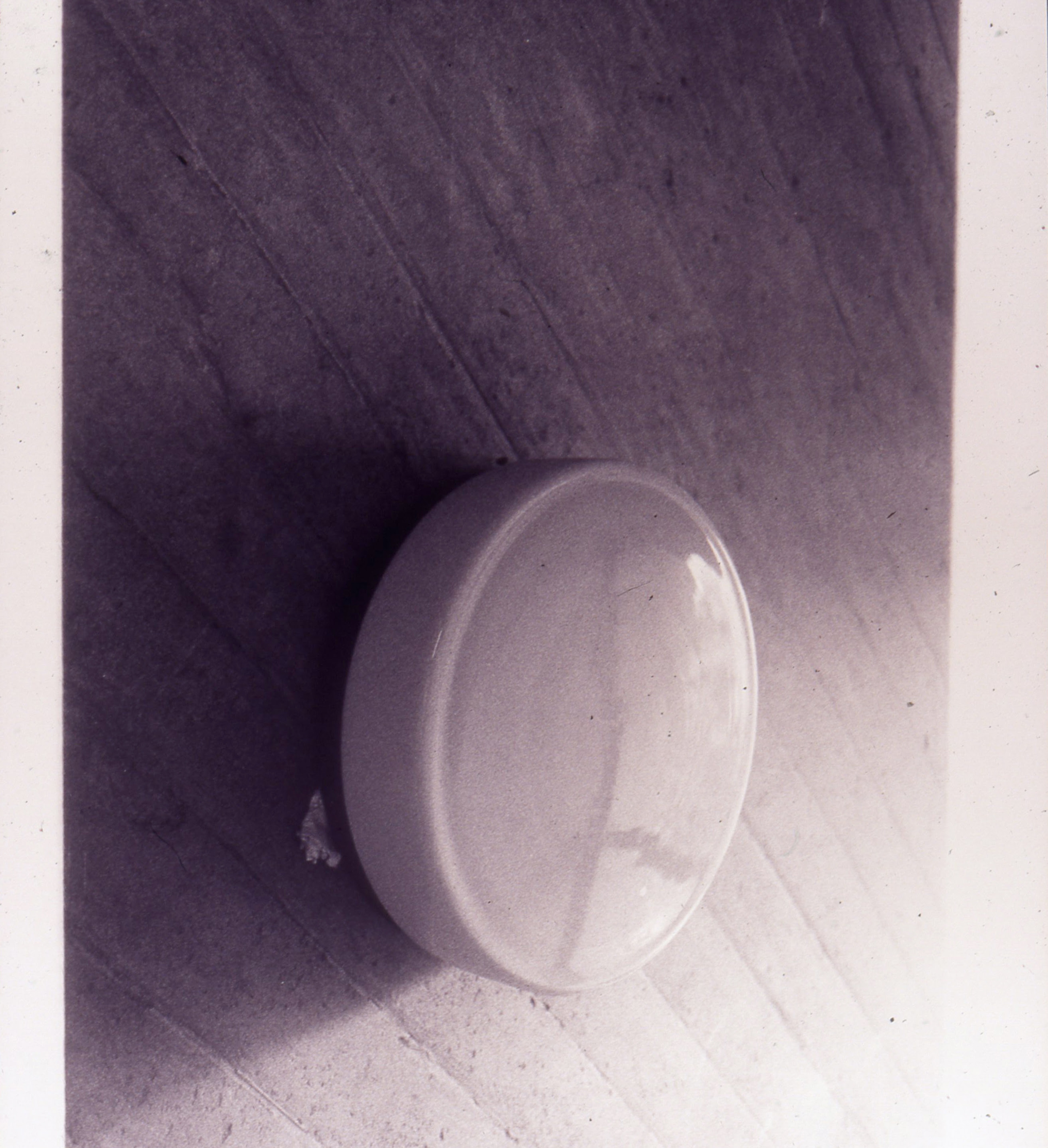 Gavin Hipkins, The Habitat (detail), 1999-2000, 72 black and white photographs, 510 x 660mm each. Courtesy of the artist