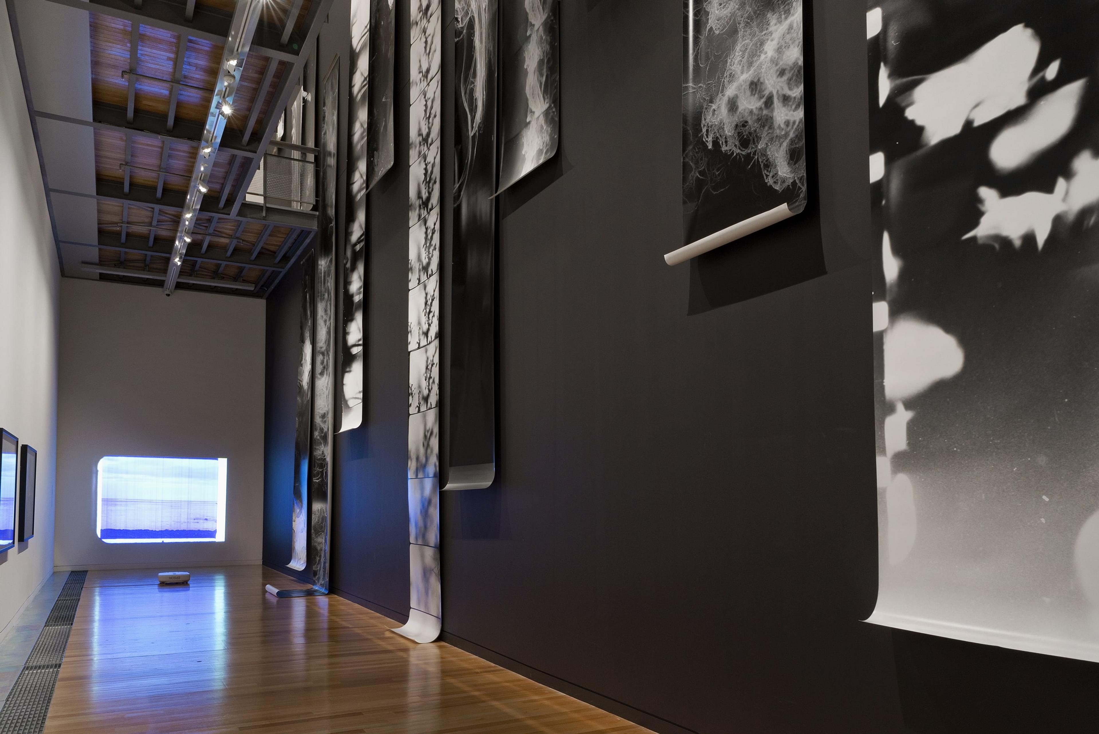 Joyce Campbell, As It Falls, 2004-2019, resin coated gelatin silver photograph