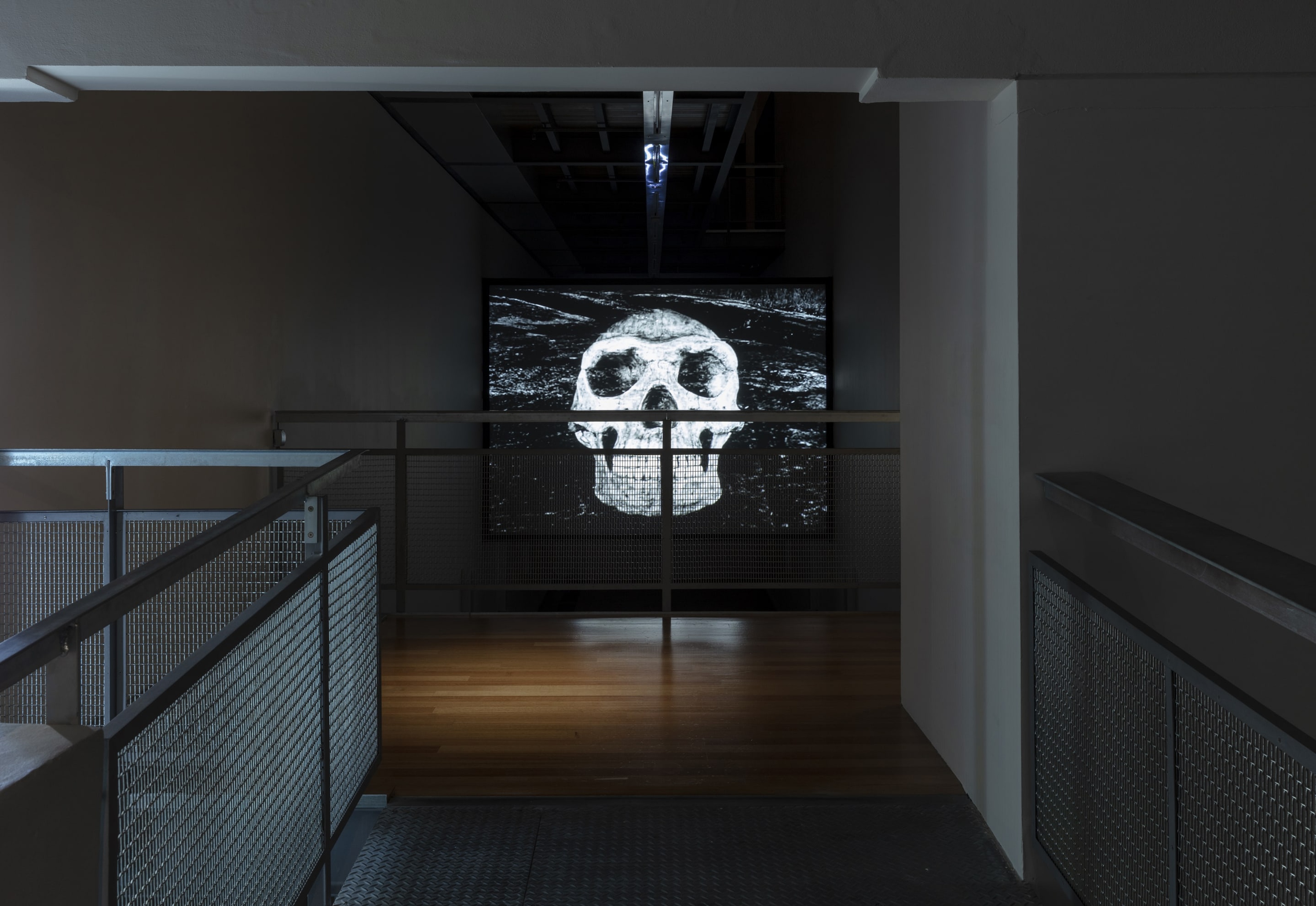 Susan Philipsz, White Flood, 2019, 12-channel sound installation and HD film, 15 minutes. Courtesy of the artist, Tanya Bonakdar Gallery, New York and Galerie Isabella Bortolozzi, Berlin. Installation view, Passages: Luke Fowler, Florian Hecker, Susan Philipsz, curated by Stephen Cleland, Adam Art Gallery Te Pātaka Toi, Victoria University of Wellington, 2019. Photo: Shaun Waugh.