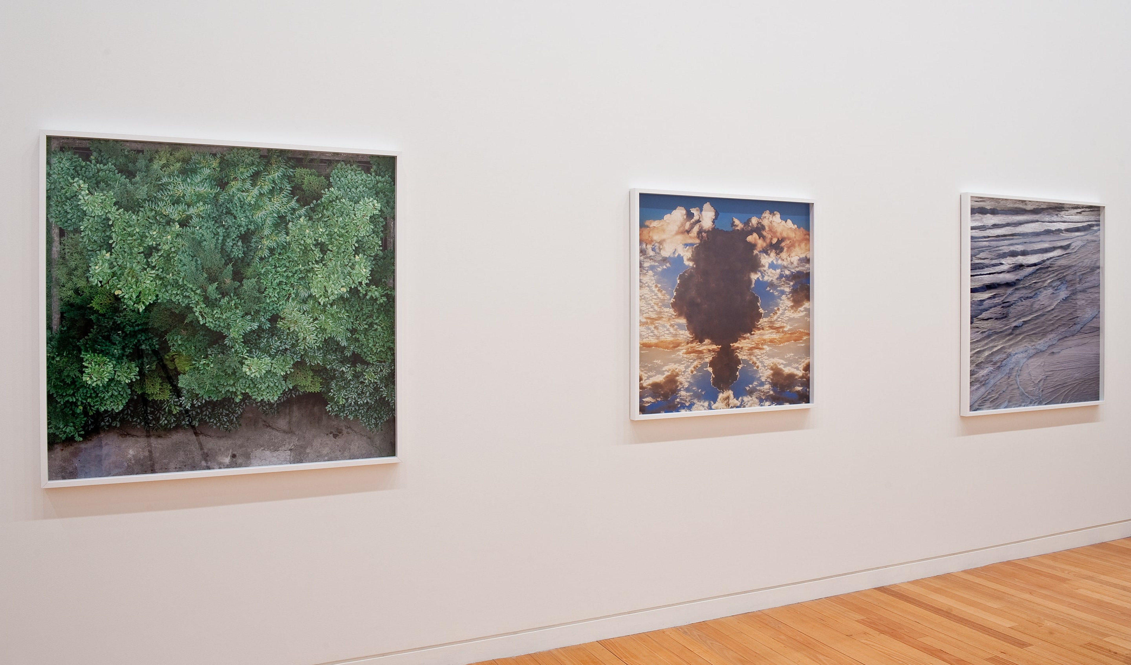 Installation view of Jae Hoon Lee, Garden (2010), Sunset (2007), Muriwai (2009). Pigment ink on photorag; C-type photograph. Victoria University of Wellington Art Collection, purchased 2012. Photo: Robert Cross.