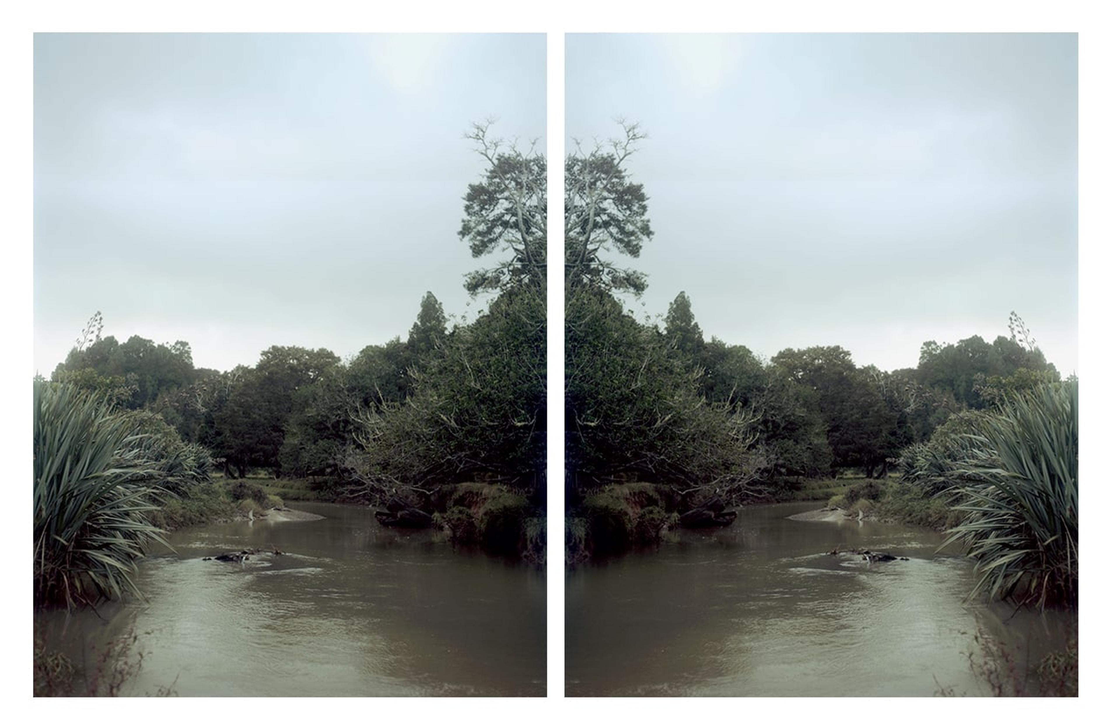 Ngahuia Harrison, E taria ana taku tinana ki te whai I te awa / My body will follow the river, 2018, from the Te Wairahi / The River series, diptych, 26 x 34cm each, in The earth looks upon us / Ko Papatūānuku te matua o te tangata, curated by Christina Barton, Adam Art Gallery Te Pātaka Toi, Victoria University of Wellington. All works are digital prints, courtesy of the artist