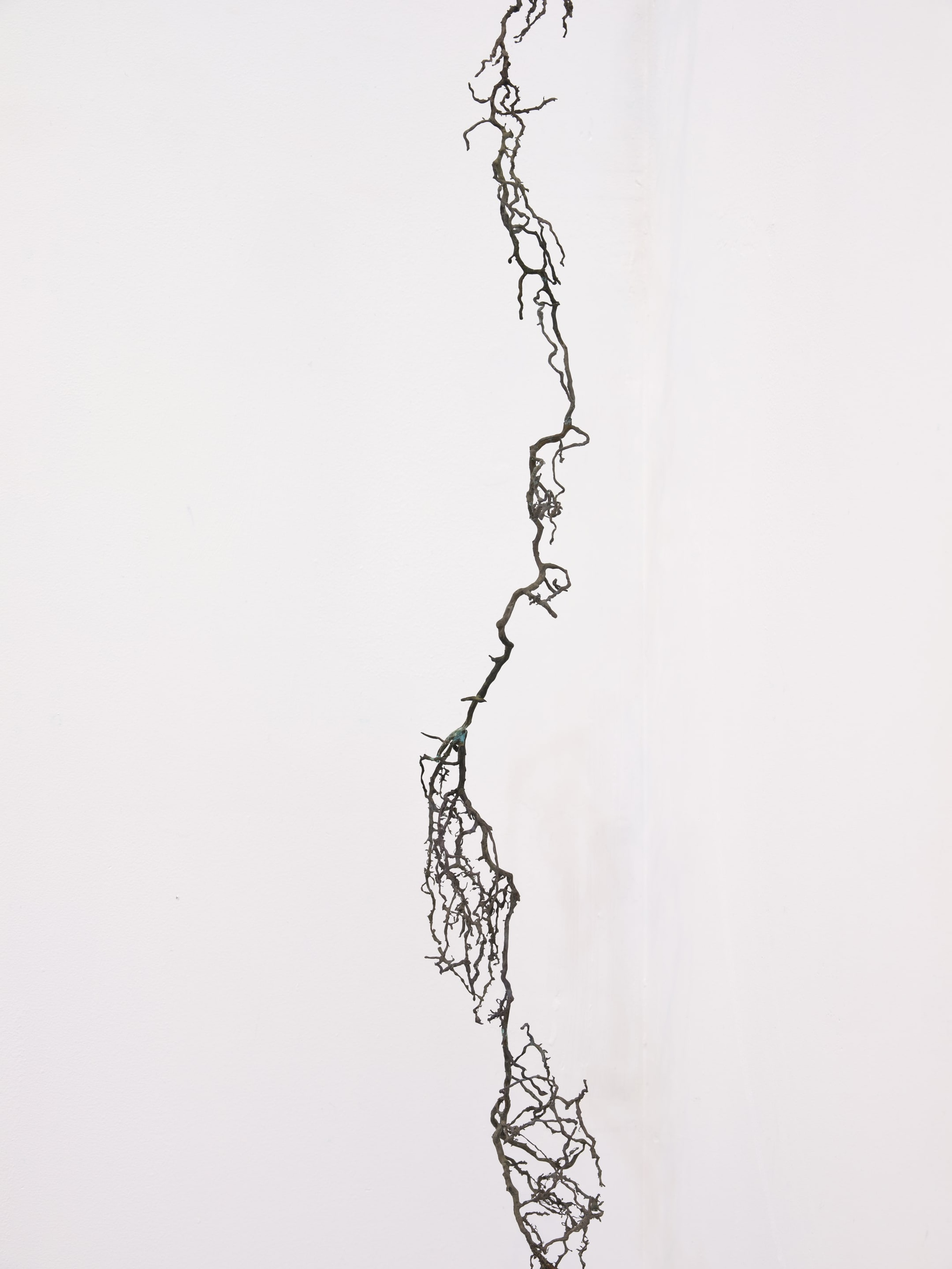 Joyce Campbell On the Last Afternoon installation image Te Uru