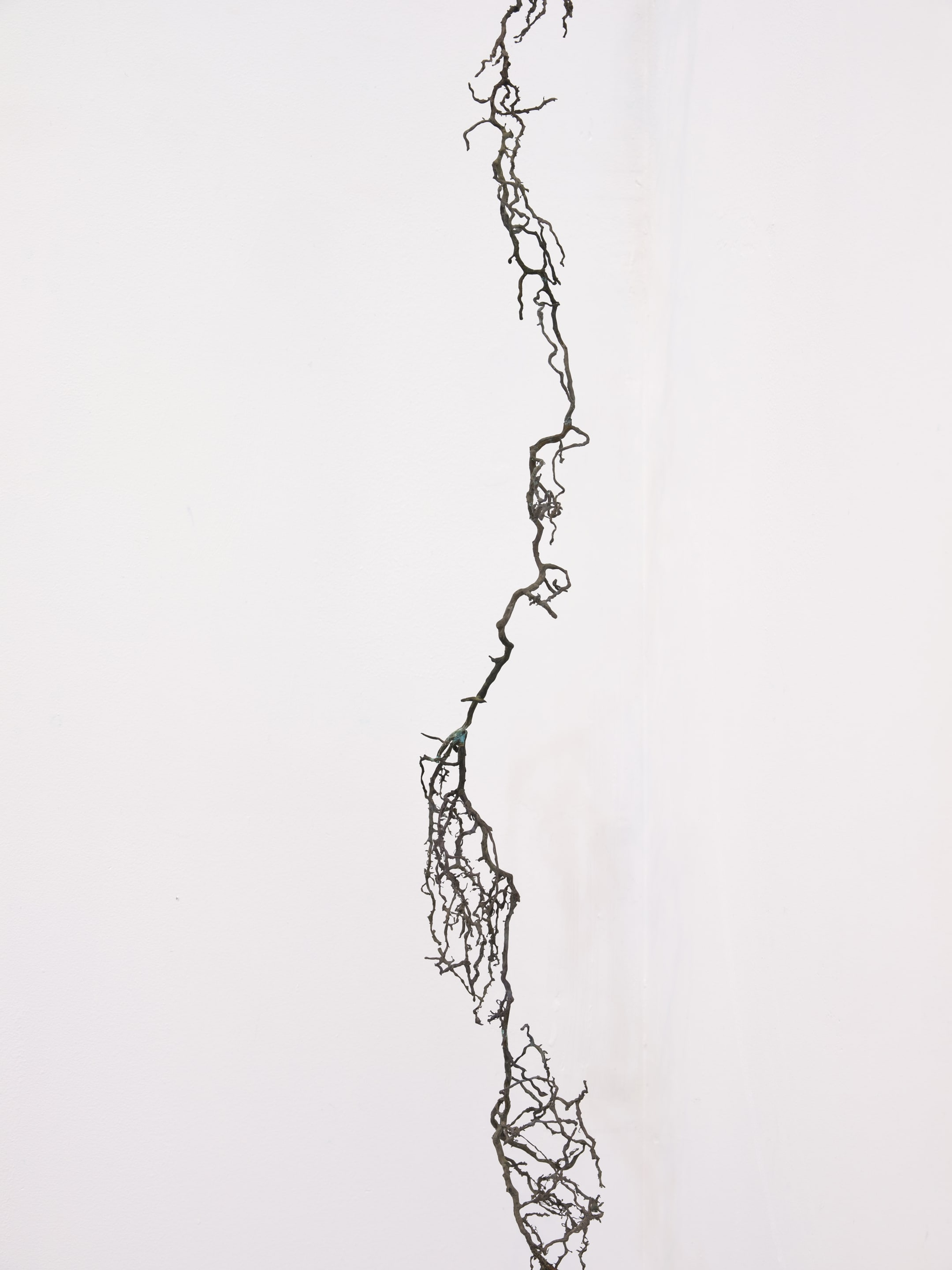 Joyce Campbell On the Last Afternoon installation image Te Uru