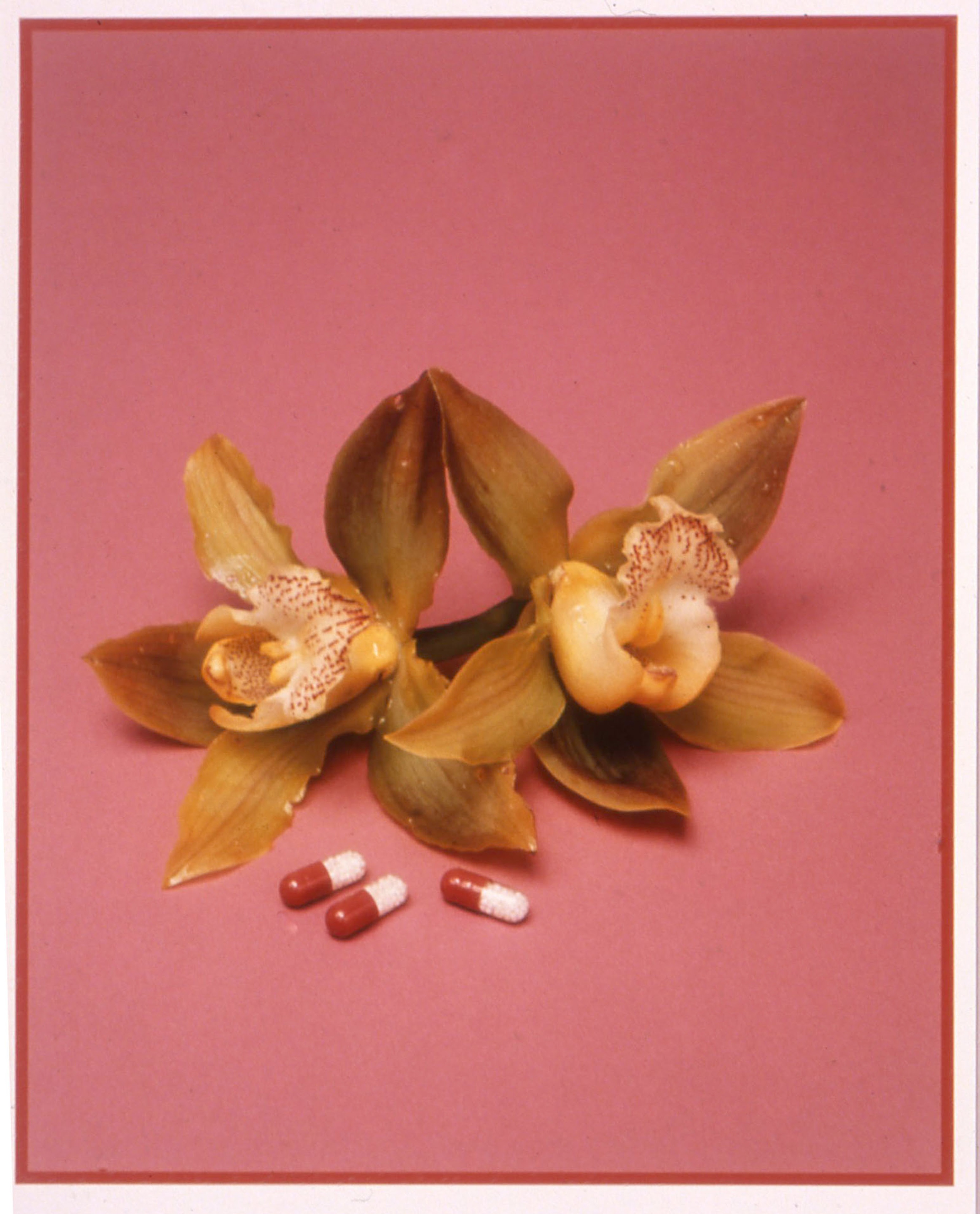 Yvonne Todd, Still Life with Diet Pills, 1999, LED prints. Courtesy of the artist