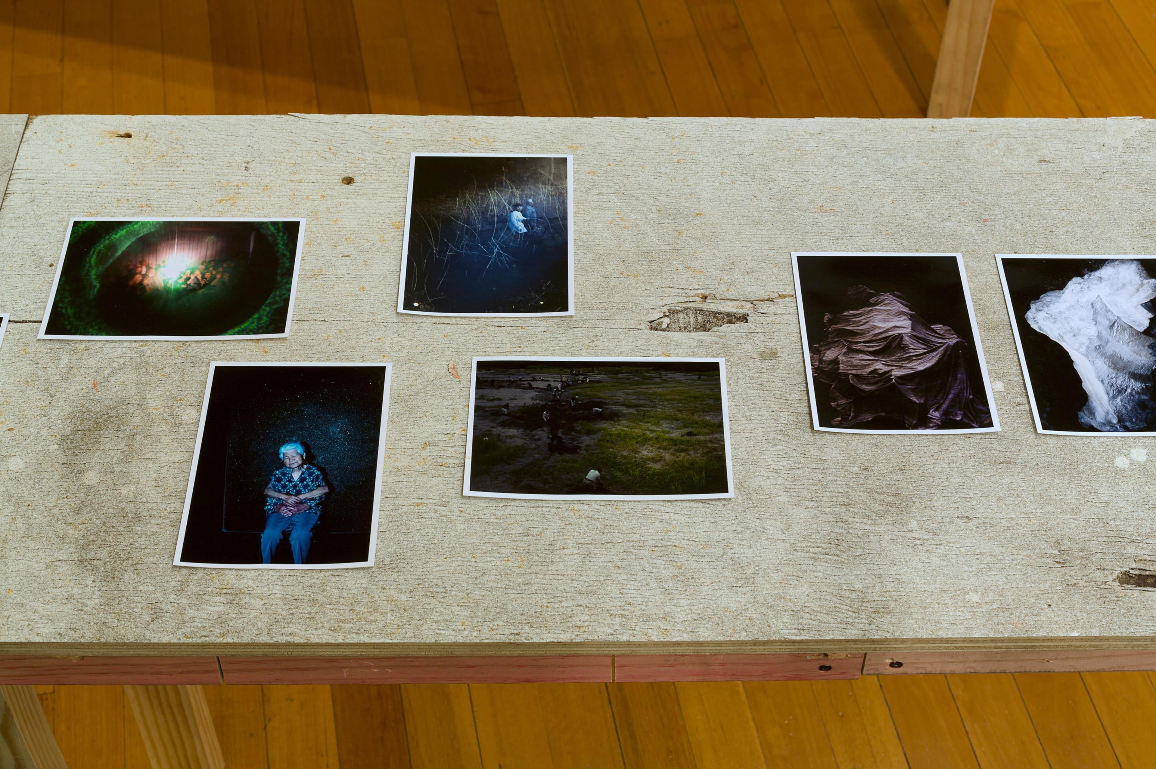 Lieko Shiga, RASEN KAIGAN (2008-2013) at the Adam Art Gallery. Photo: Shaun Waugh.