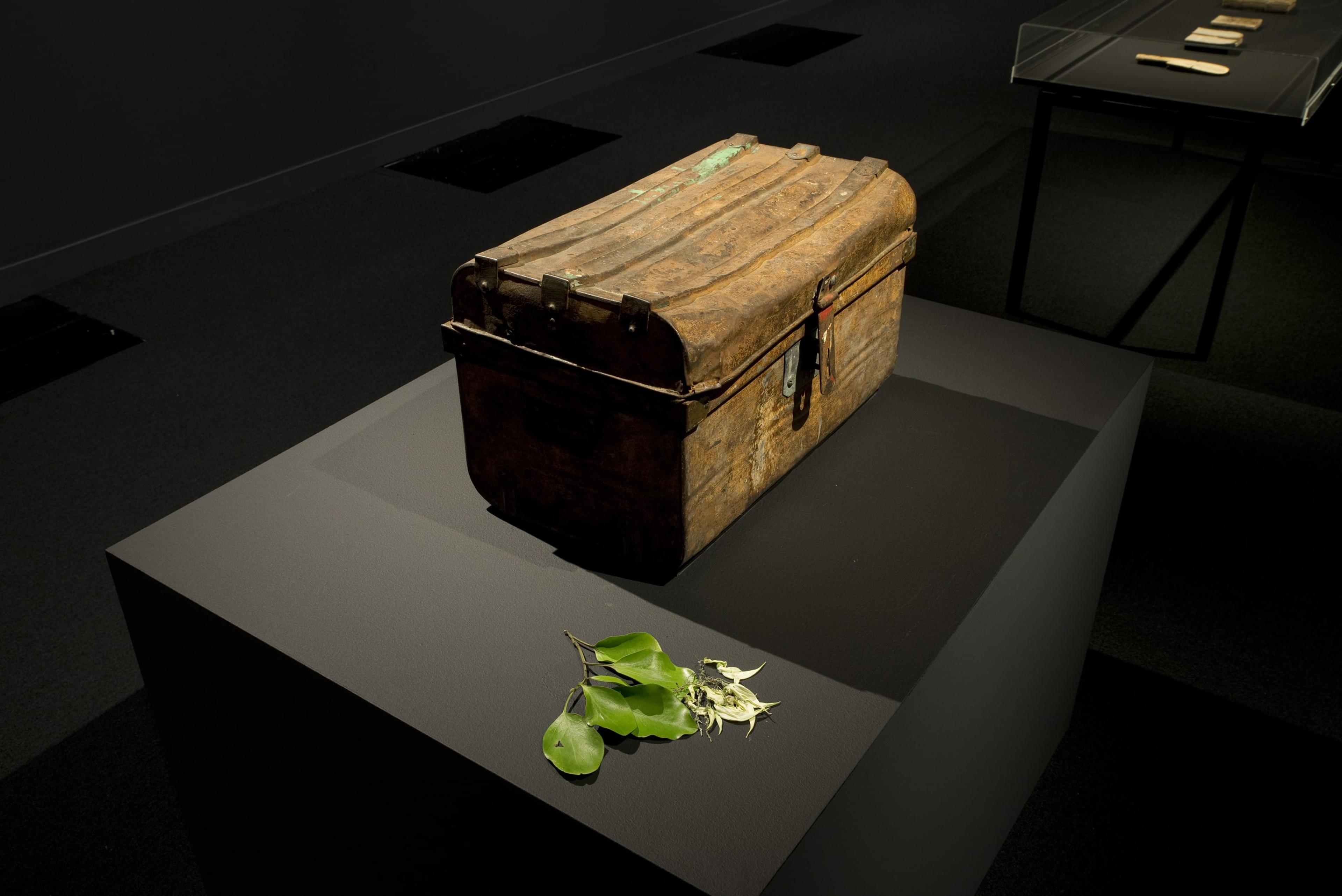 Installation view of Te Taniwha: The Manuscript of Ārikirangi