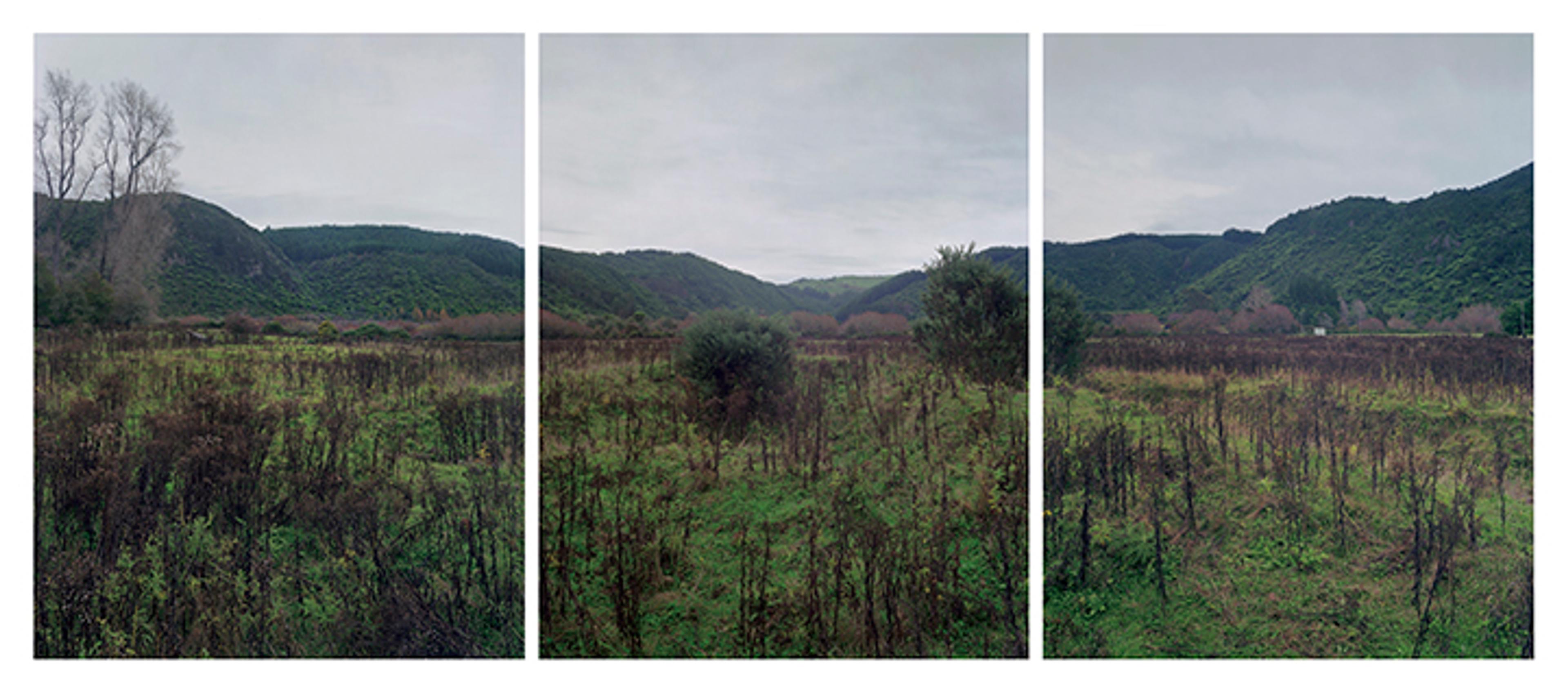 Mark Adams, 11.5.2000. Hinemihi. Te Wairoa, Hot Lakes District, New Zealand. The site of Hinemihi at the time of the Tarawera eruption of 1886, C type prints from 10 x 8 inch C41 negatives, 1275 × 3060 mm, three parts, collection of Te Papa Tongarewa Museum of New Zealand.