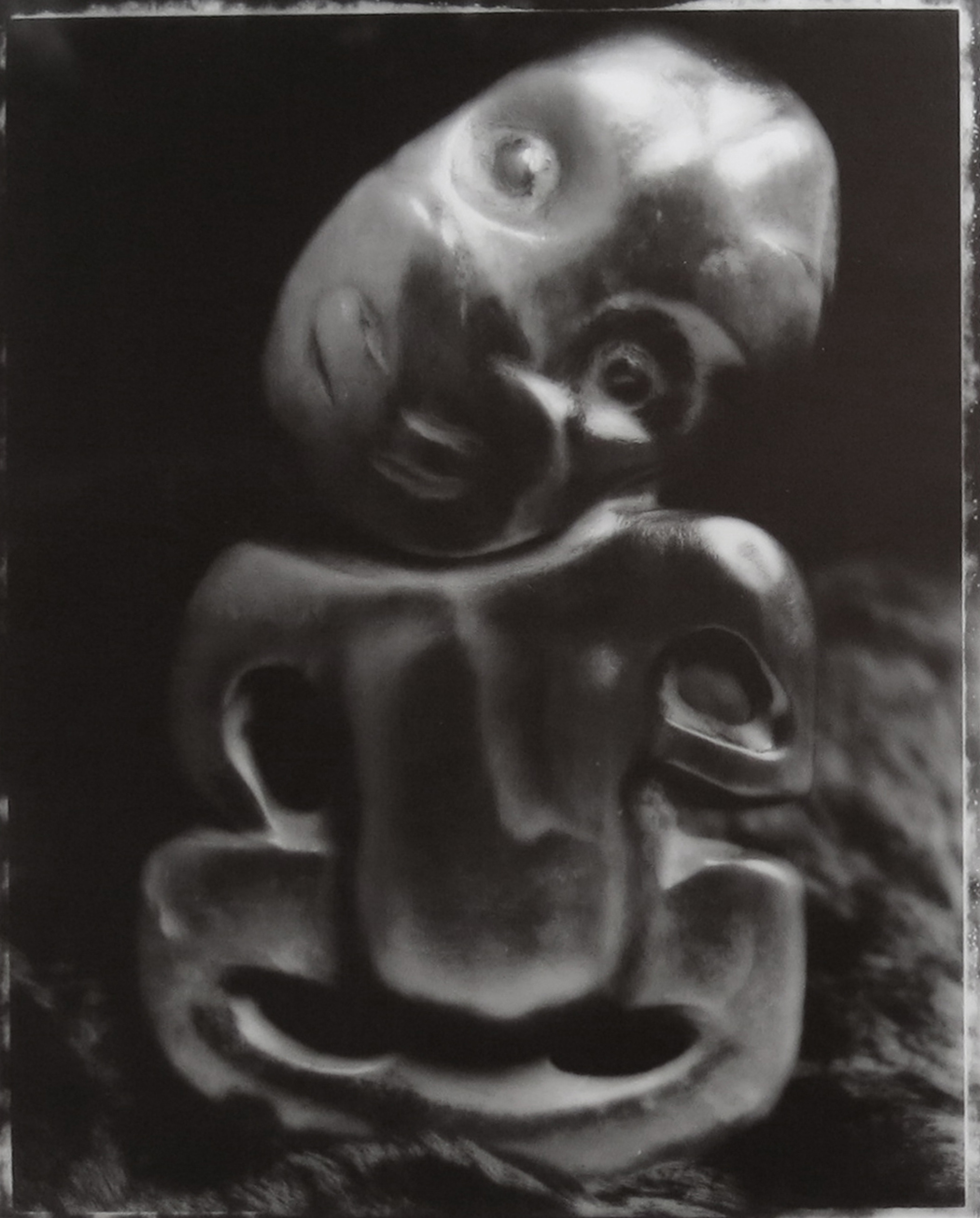 Fiona Pardington, Mauria Mai, Tono Ano (Bringing to Light/Claiming Again)