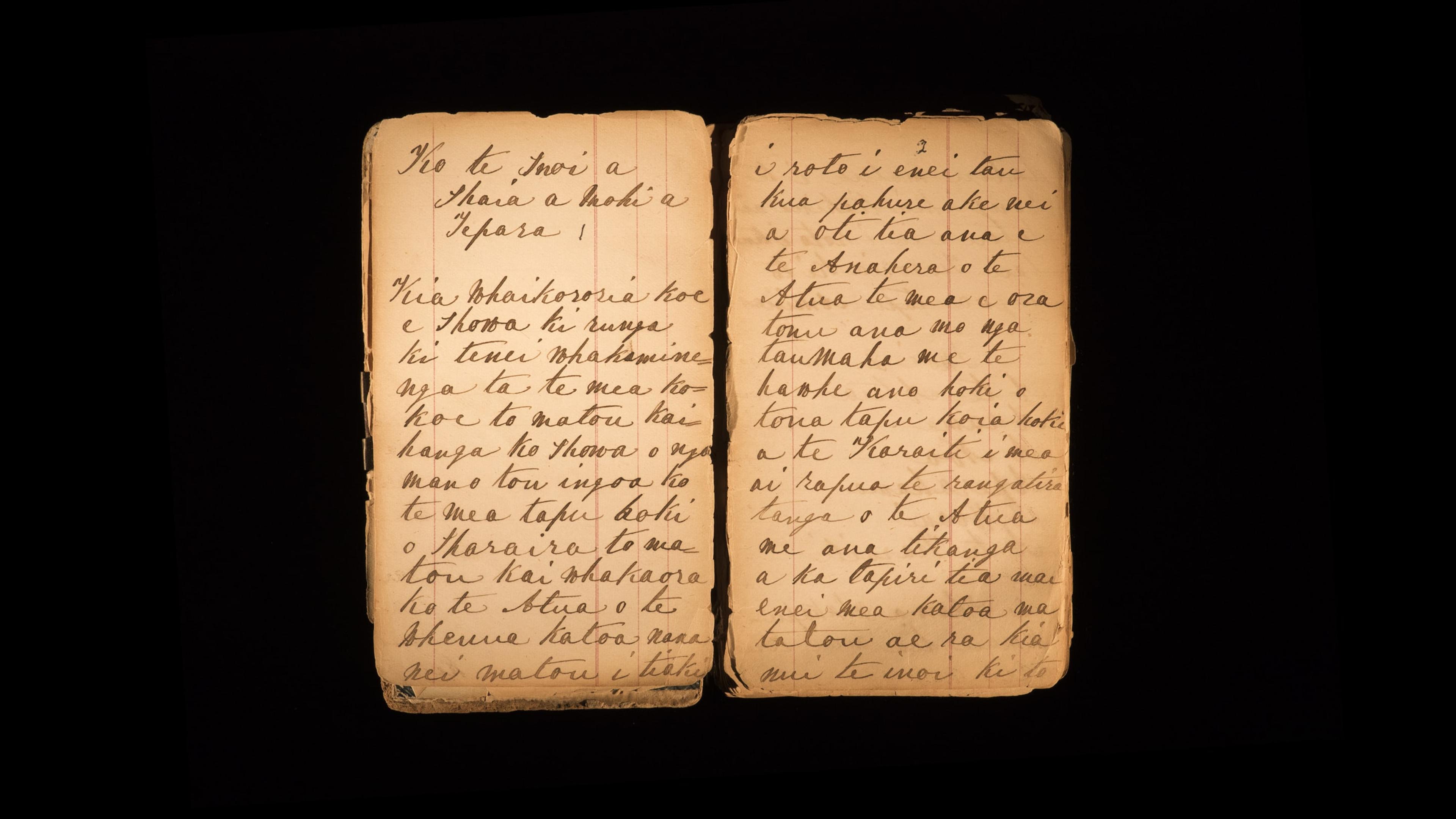 Joyce Campbell, pages from notebook by Te Kooti Arikirangi Te Turuki (detail), colour photograph, 2019.