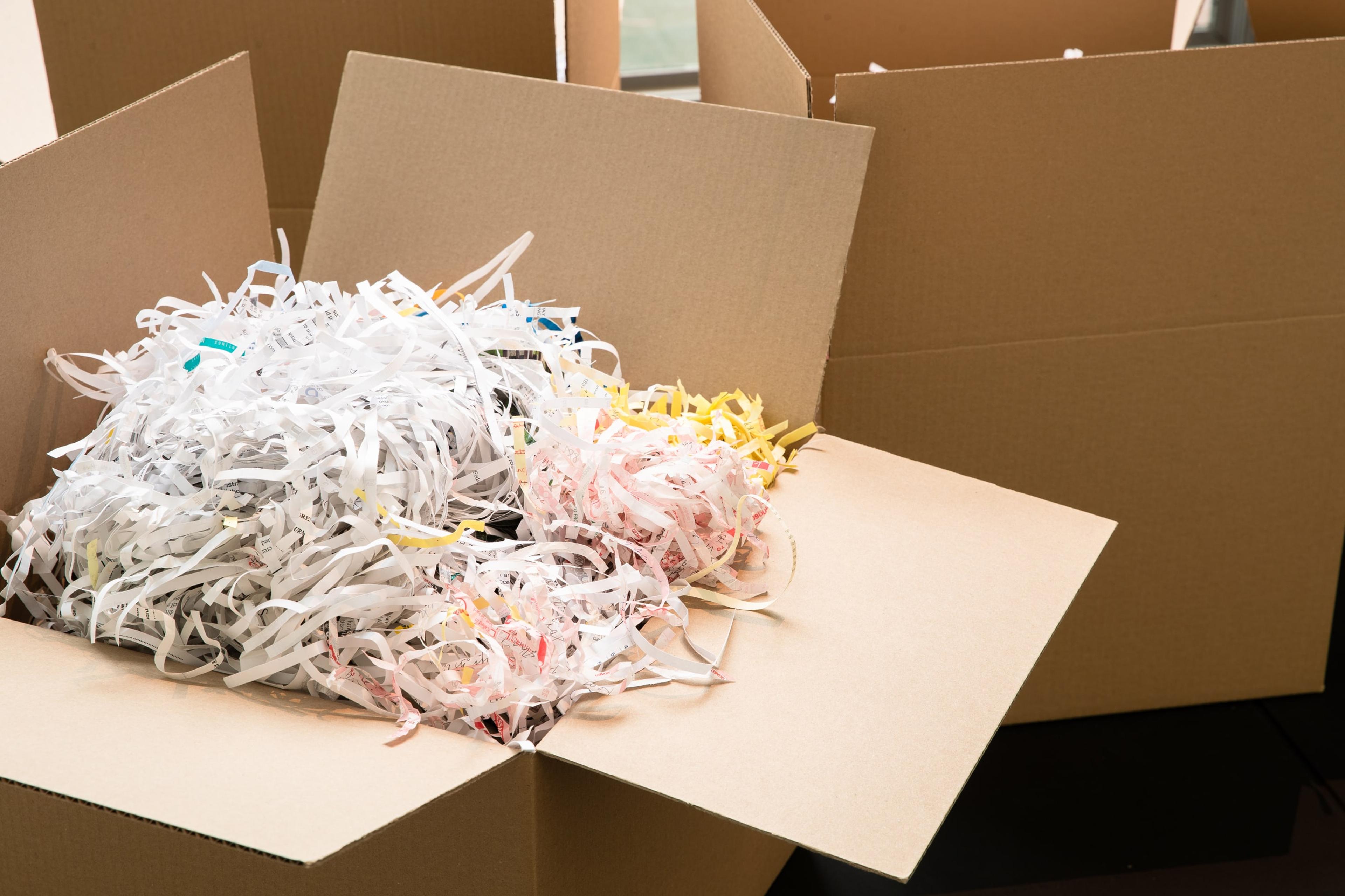 Dane Mitchell, Recent Acquisitions