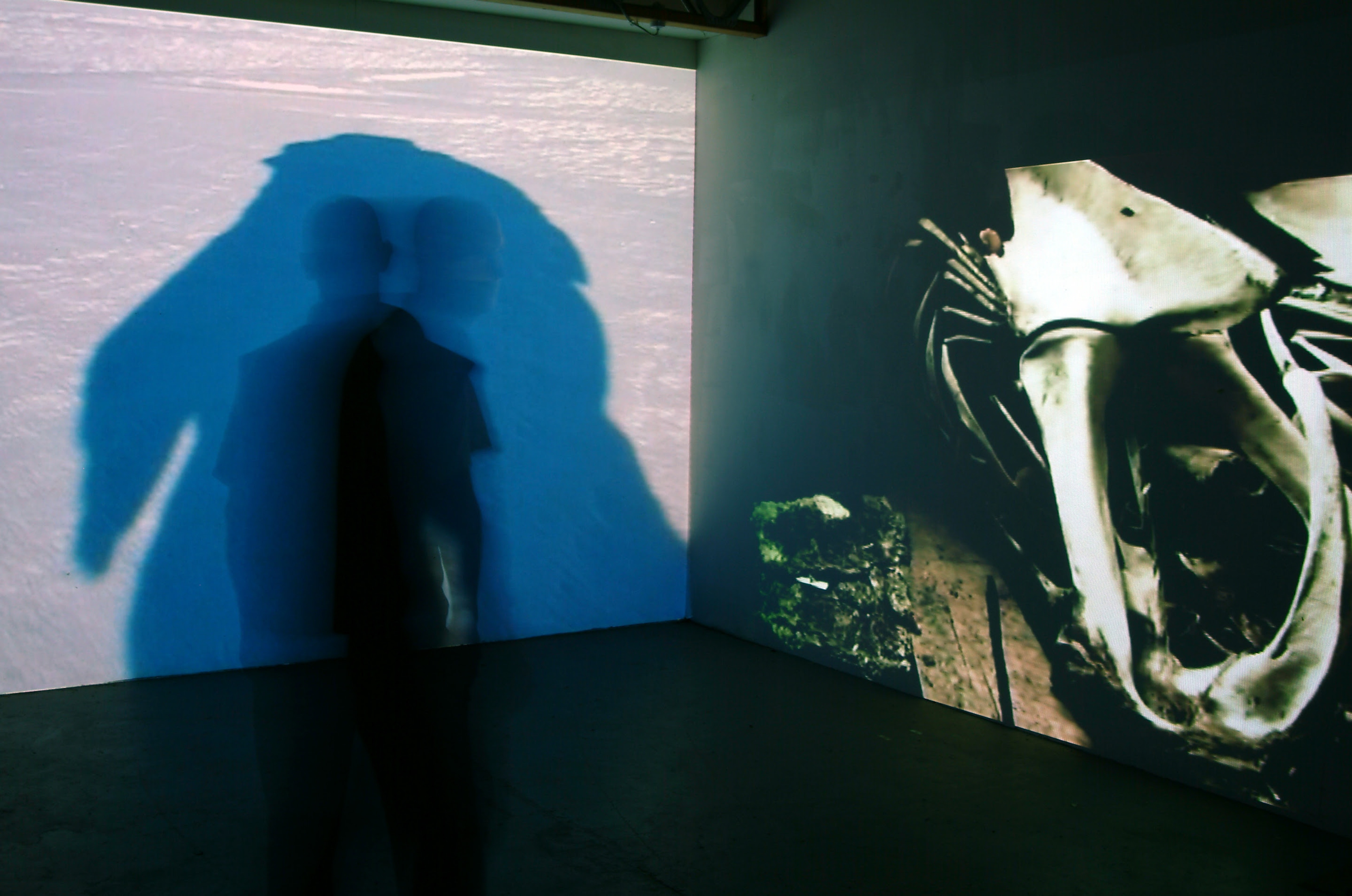 Philip Dadson and James Charlton, Terra Incognita, 2005, video and data projection. Installation view, Breaking Ice: Re-Visioning Antarctica, Adam Art Gallery Te Pātaka Toi, Victoria University of Wellington, 2005