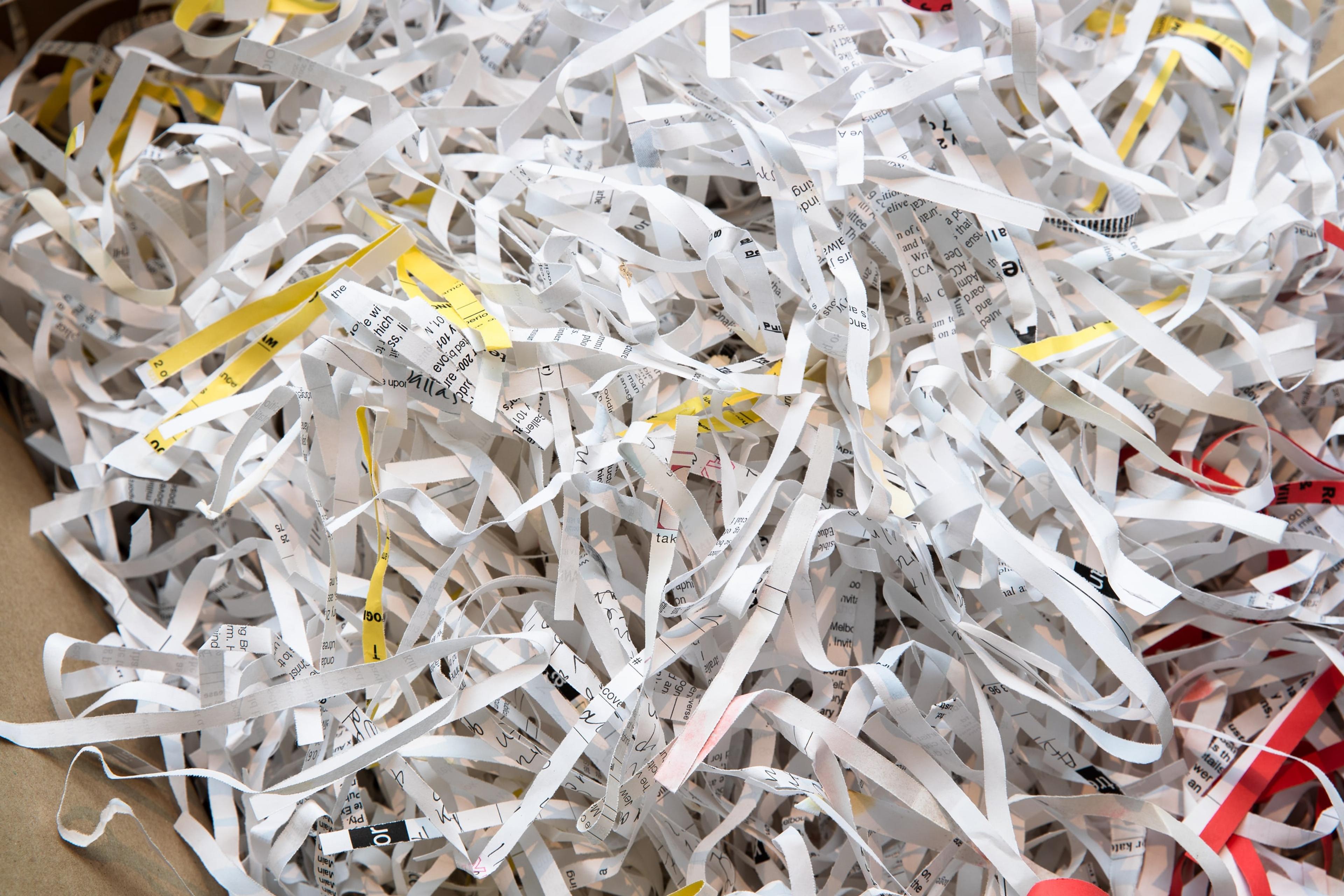 Dane Mitchell, Recent Acquisitions