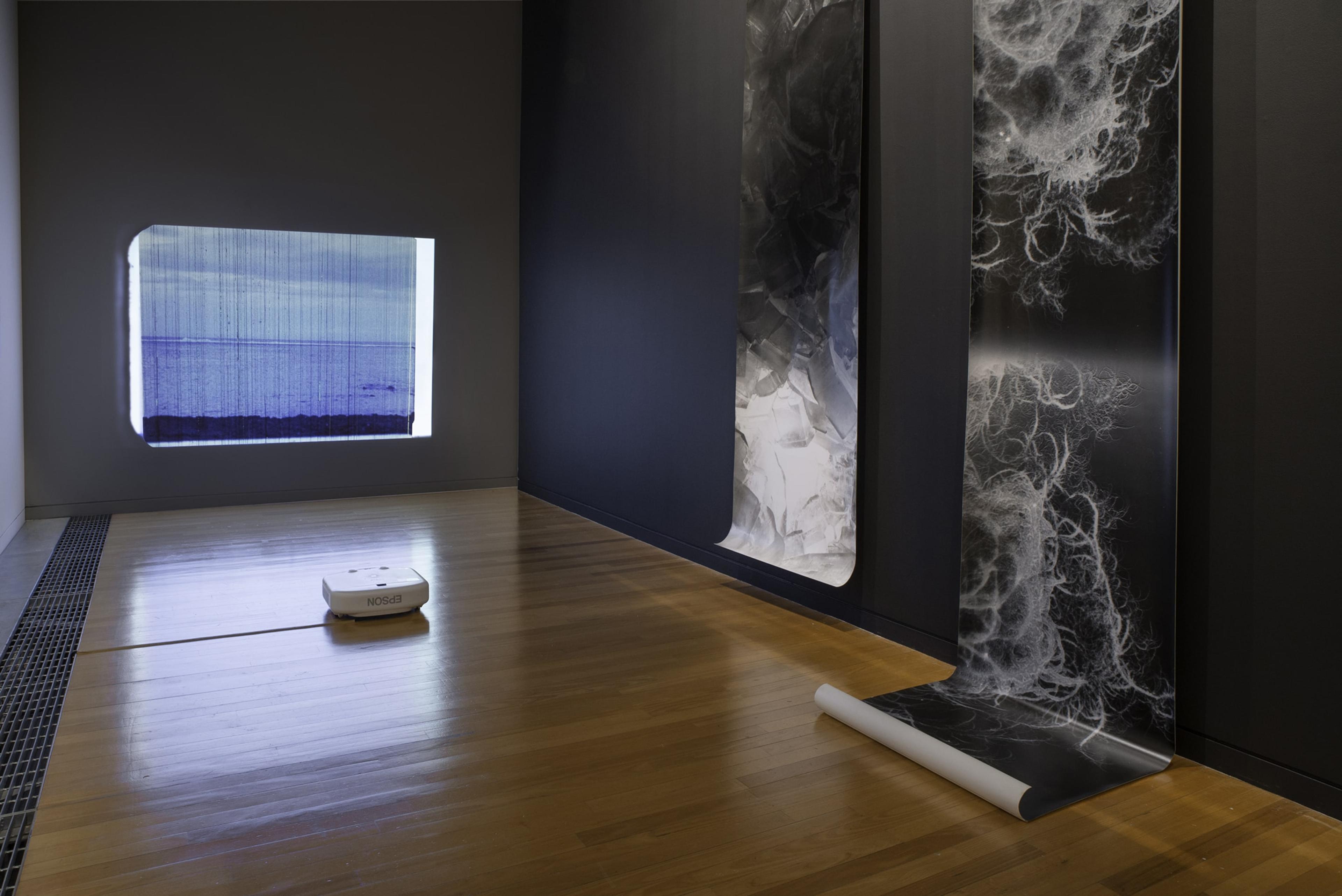Joyce Campbell, The Reef, 2018, digital video transferred from 16 mm film, colour, sound.