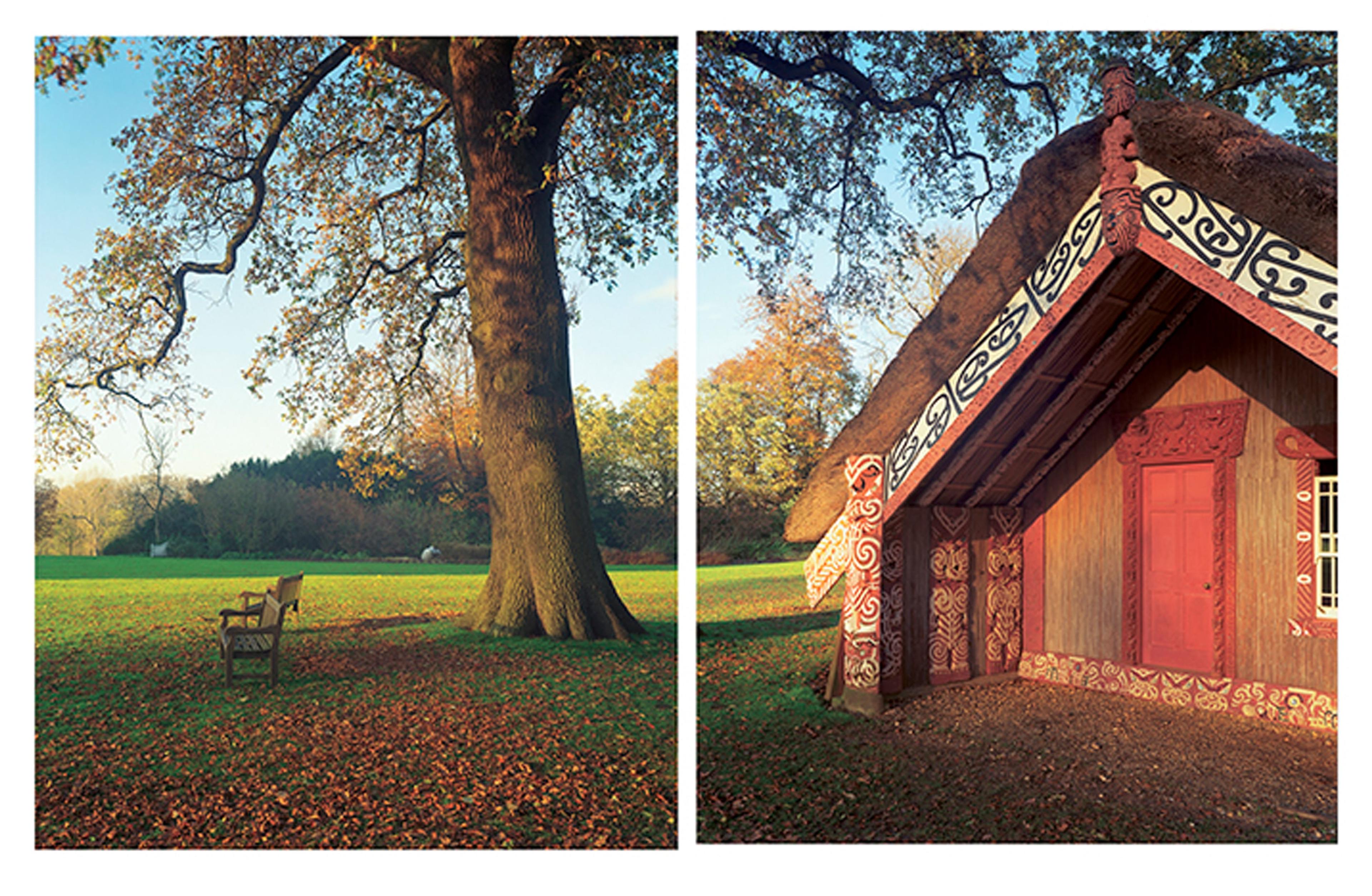 Mark Adams, 13.11.2000. Hinemihi. Clandon Park. Surrey, England, 2000, C-type prints from 10 x 8 inch C41 negatives. Courtesy of the artist and Two Rooms, Auckland.