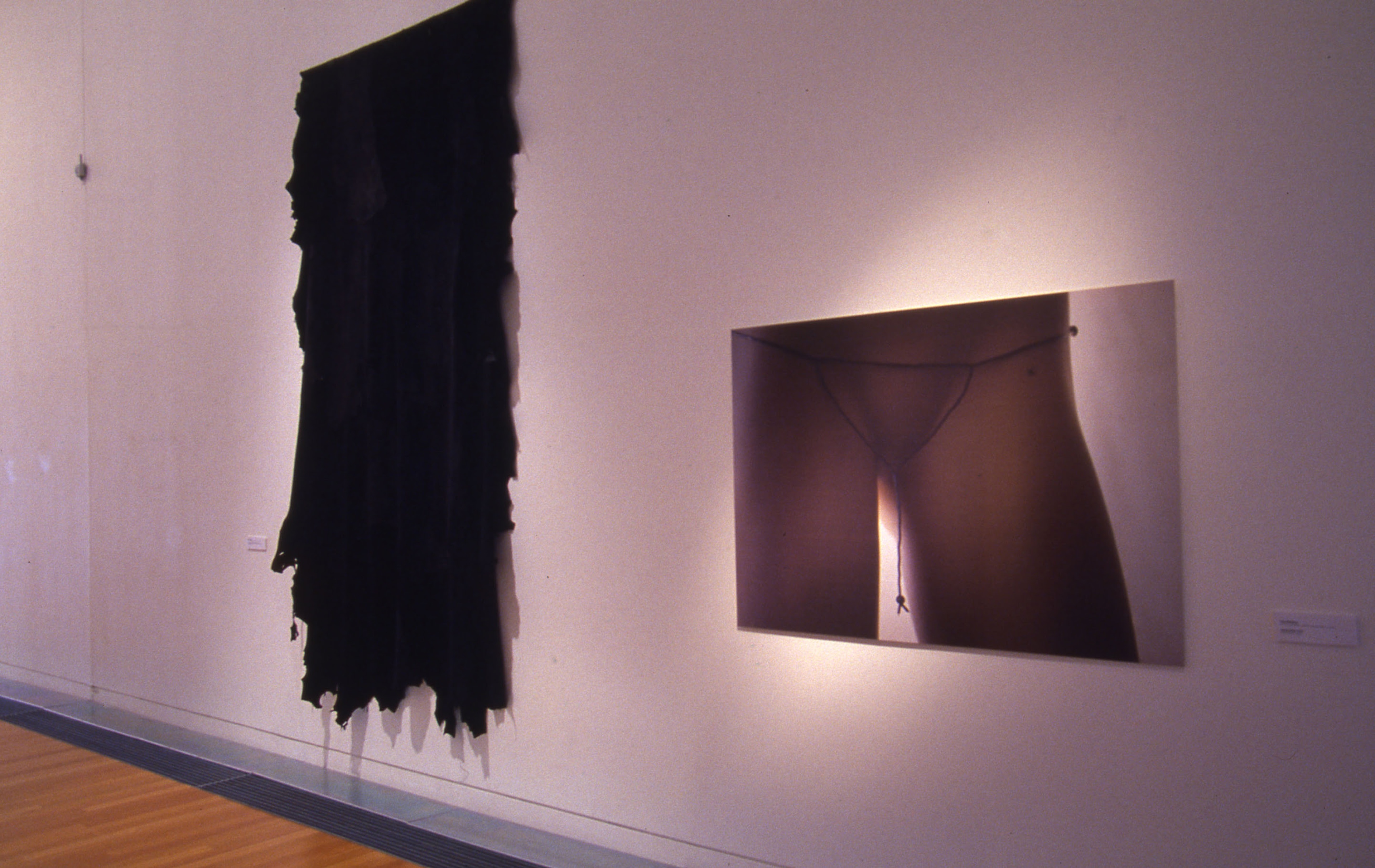 Installation view, Lisa Reihana: New Works, Adam Art Gallery Te Pātaka Toi, Victoria University of Wellington, 2005