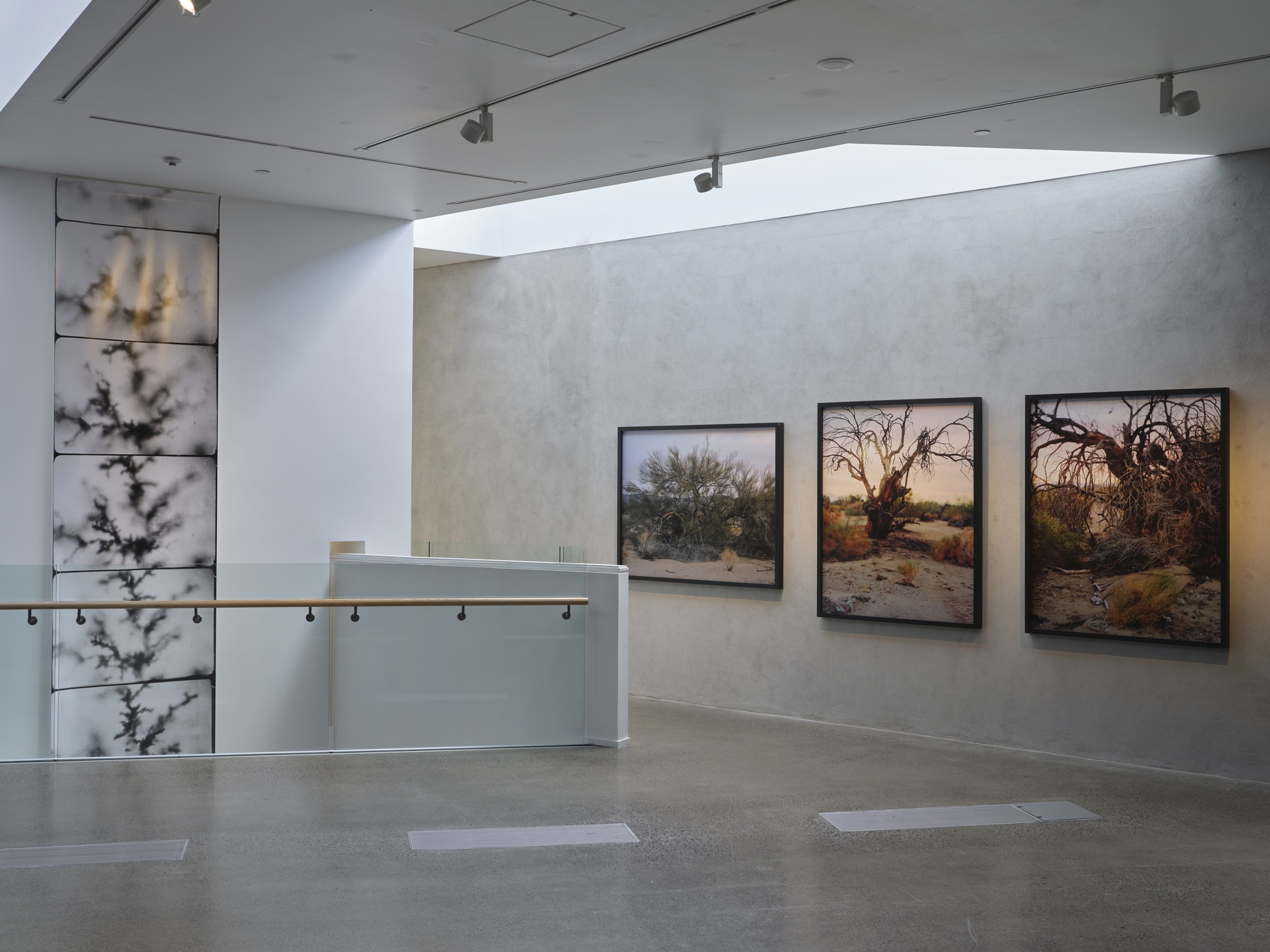 Joyce Campbell On the Last Afternoon installation image Te Uru