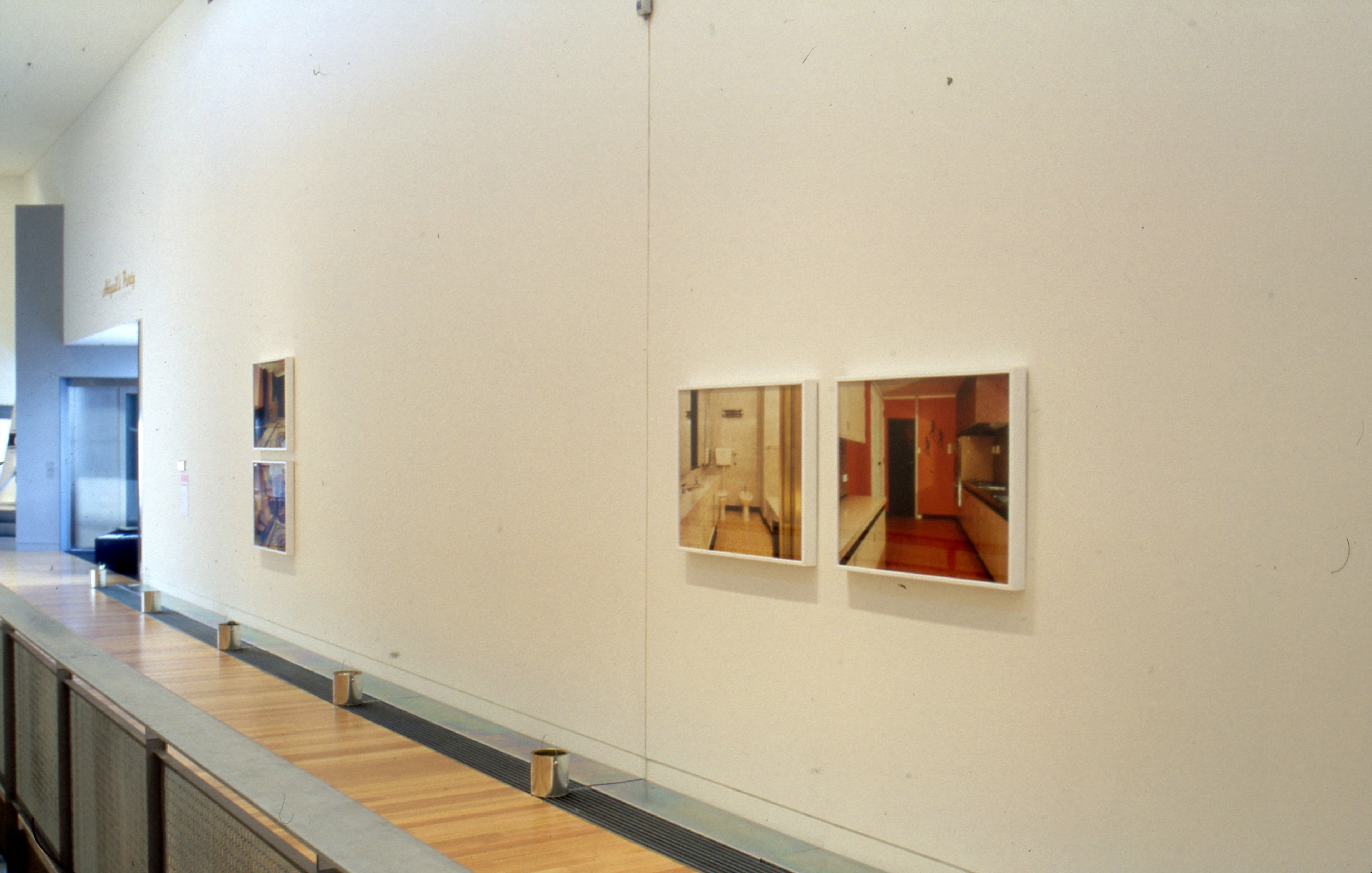 Installation view, Ann Shelton: Abigail's Party, Adam Art Gallery Te Pātaka Toi, Victoria University of Wellington, 2000