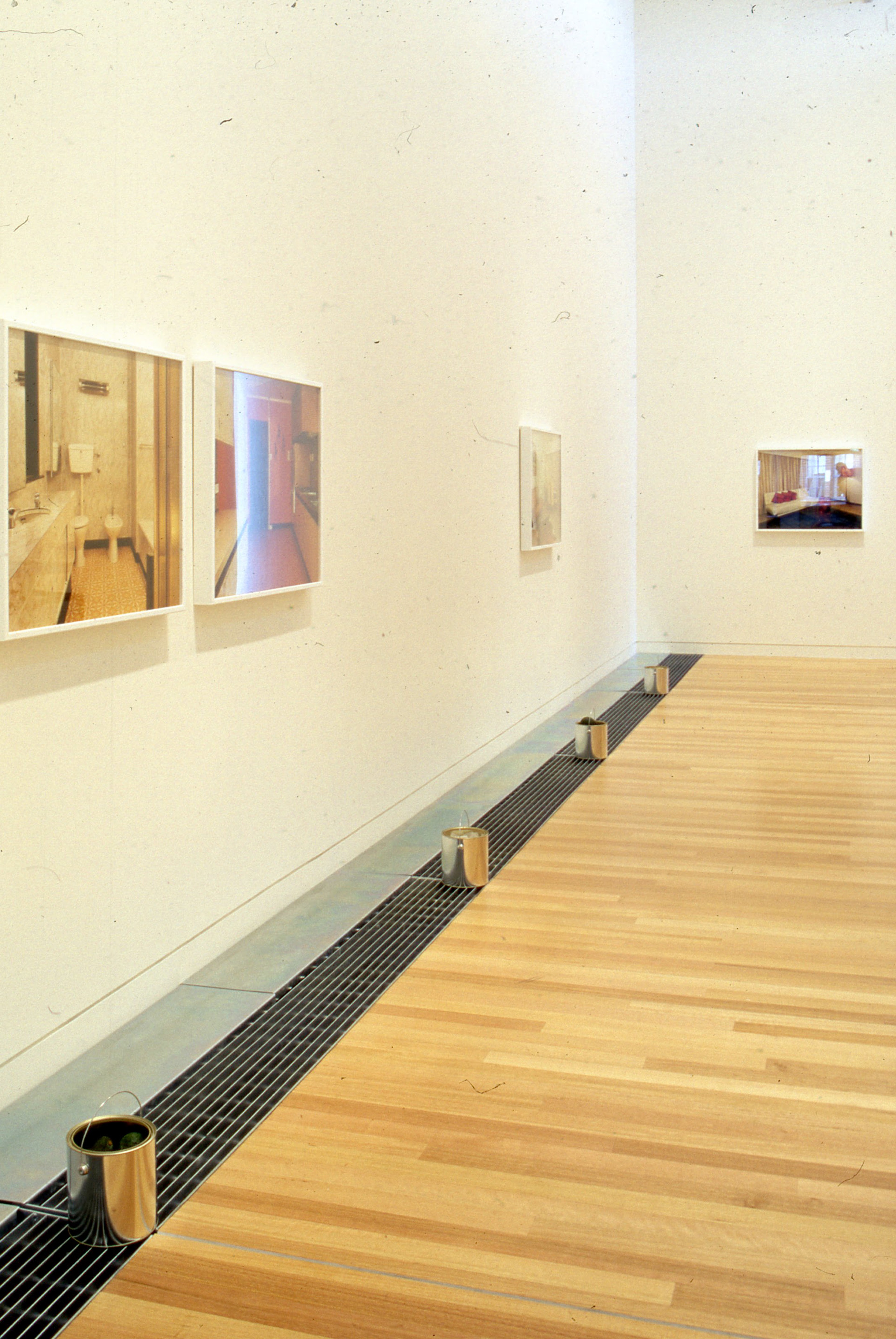 Installation view, Ann Shelton: Abigail's Party, Adam Art Gallery Te Pātaka Toi, Victoria University of Wellington, 2000