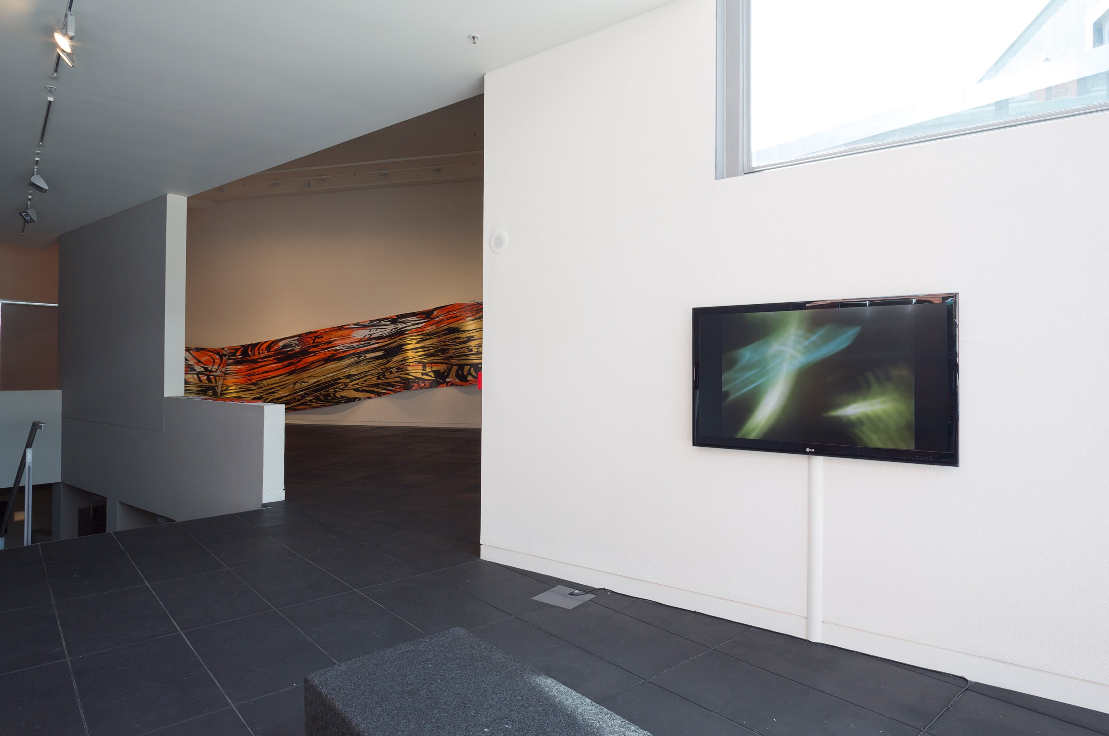 Installation view of Cinema & Painting at the Adam Art Gallery, showing works by Jim Davis and Judy Millar. Photo: Shaun Waugh.