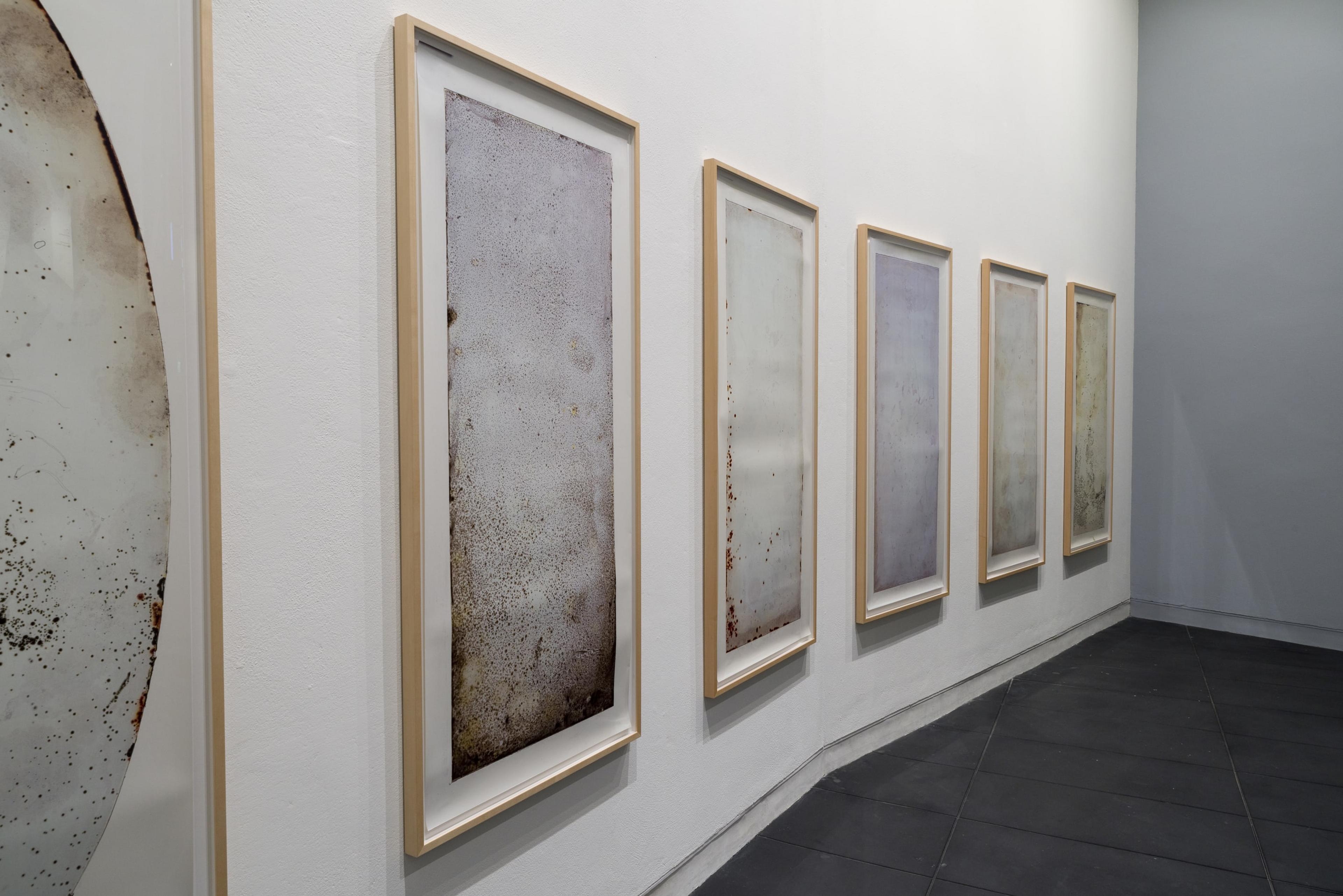 Joyce Campbell, Hosting, 1998, Ilfochrome photograms from microbial sample and agar medium on Plexiglass plates. 