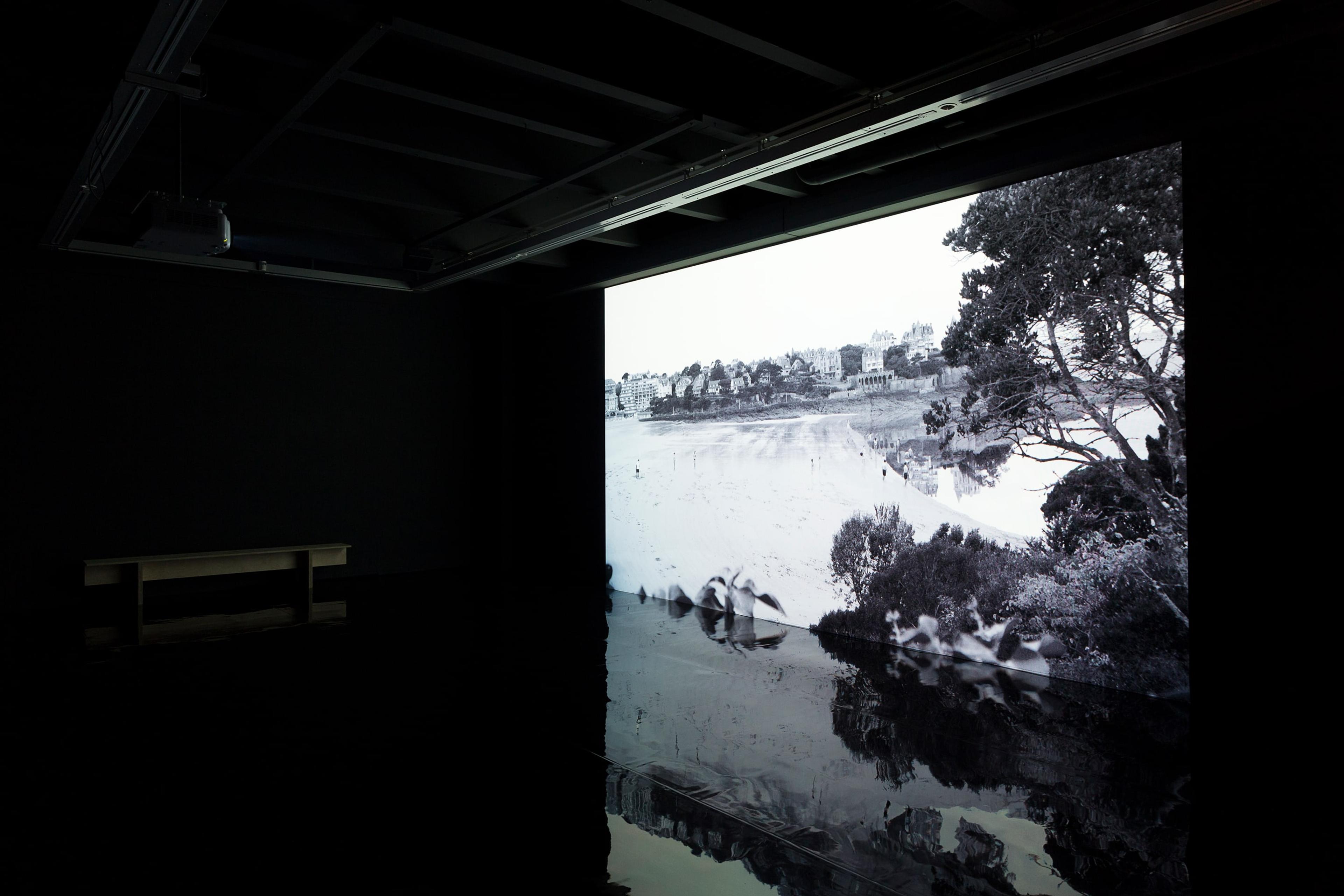 David Claerbout, The Quiet Shore 2011, single-channel video projection, silent, 32 mins 32 secs looped. Courtesy of the artist (photo: Shaun Waugh)