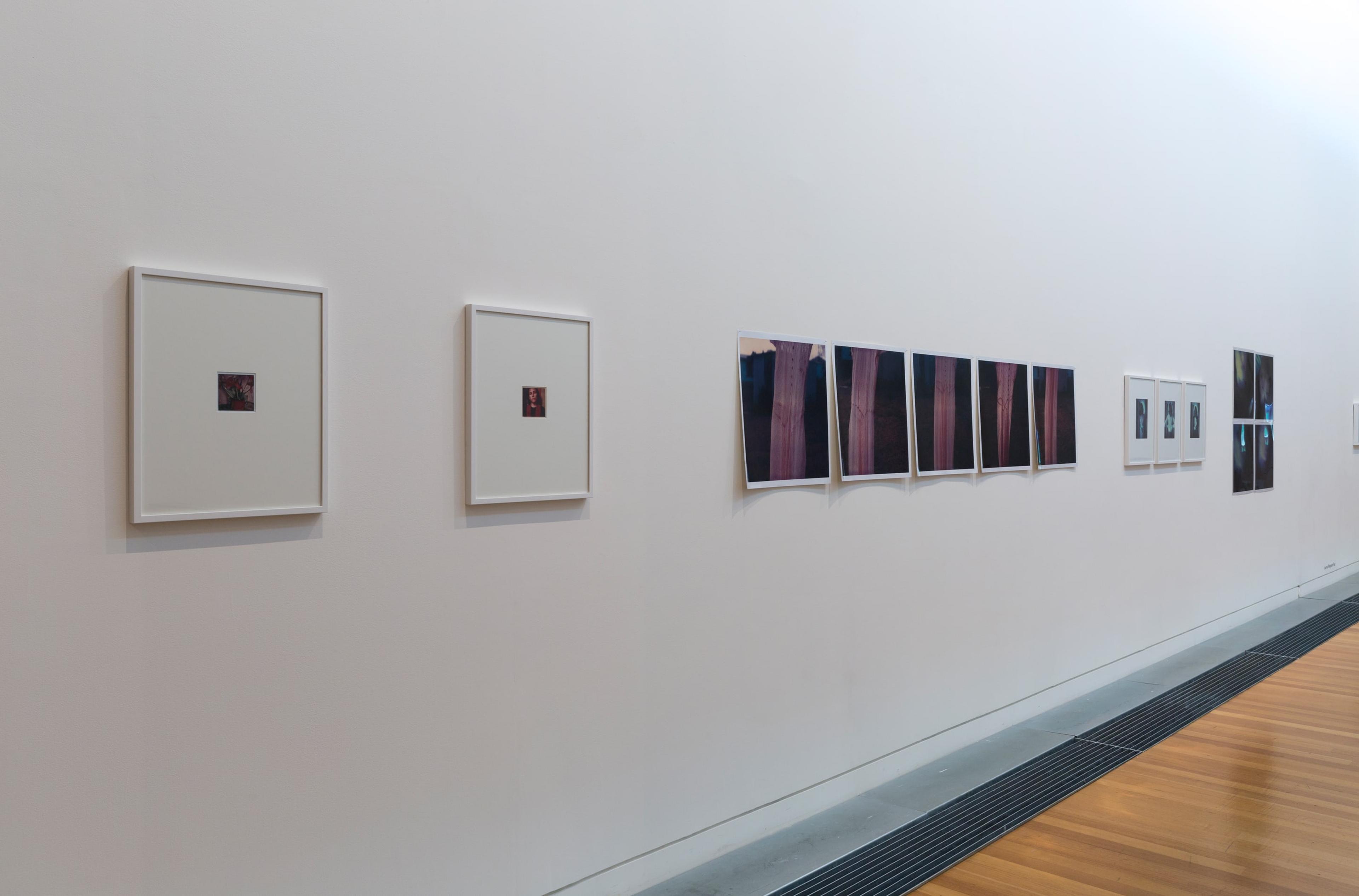 Installation view: Janet Bayly, in Fragments of a World, curated by Sandy Callister, Adam Art Gallery Te Pātaka Toi, Victoria University of Wellington (photo: Shaun Waugh)