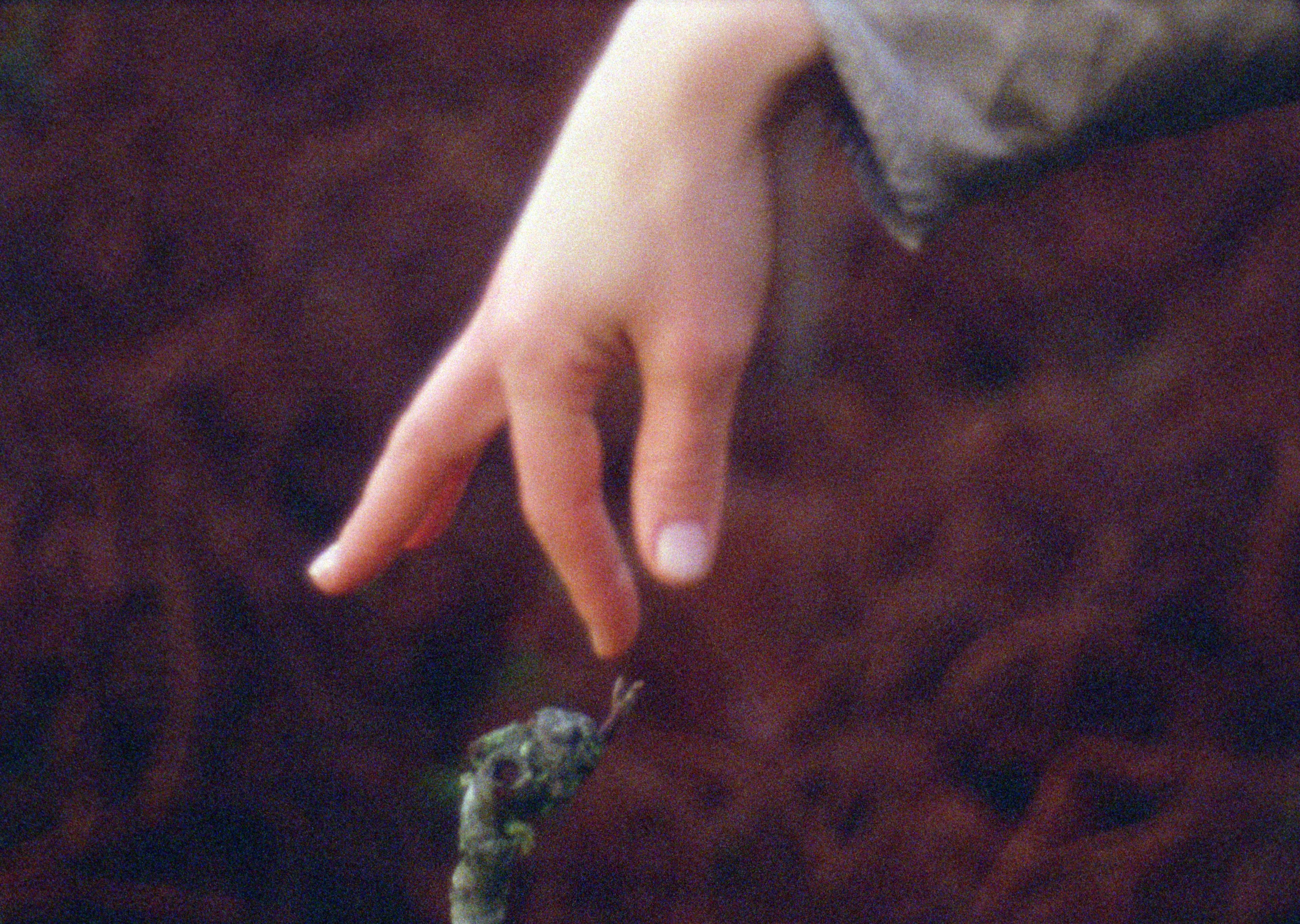 Sriwhana Spong, still from AD, 2026, 16mm film transferred to digital, sound. Commissioned by Monash University Museum of Art, Melbourne and Te Pātaka Toi Adam Art Gallery, Wellington. Image courtesy of the artist and Lett Thomas, Auckland.