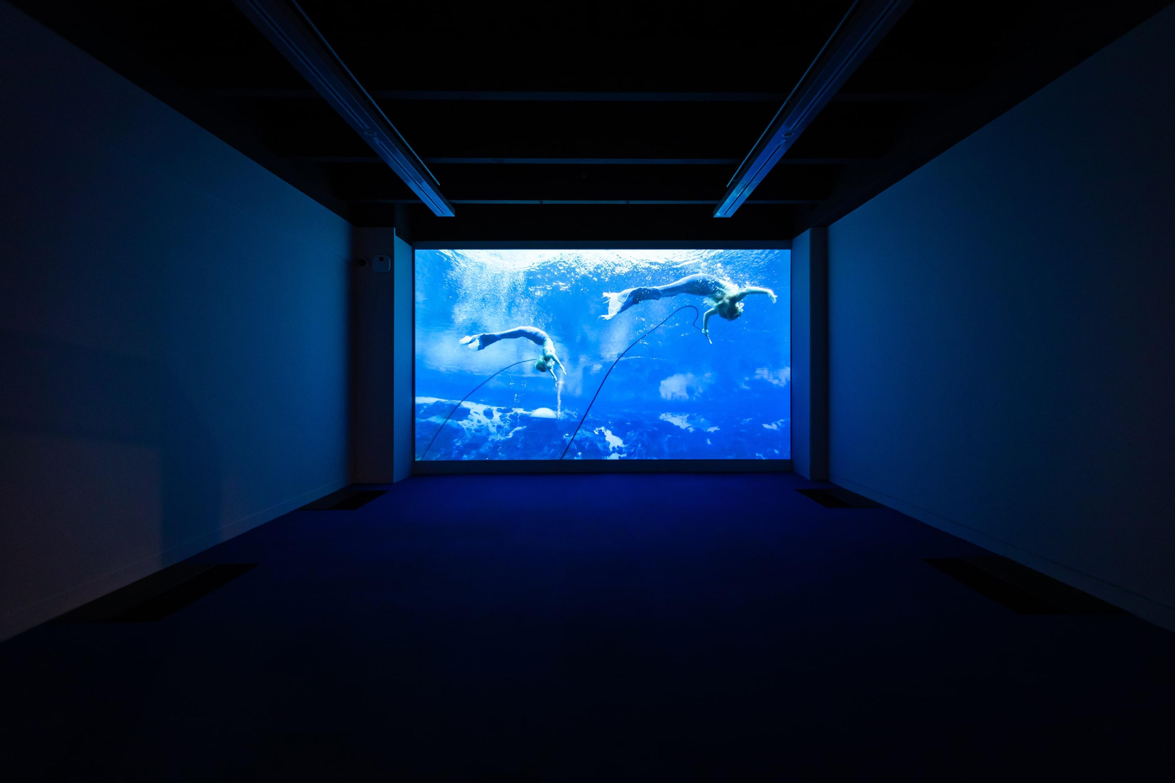 Andrew Brusso, Weeki Wachee Mermaids, 2014, video, colour, sound, 2 mins 45 secs. Courtesy of the artist. Installation view, Megan Dunn: The Mermaid Chronicles, Te Pātaka Toi Adam Art Gallery, Te Herenga Waka Victoria University of Wellington, 2022. Photo: Ted Whitaker