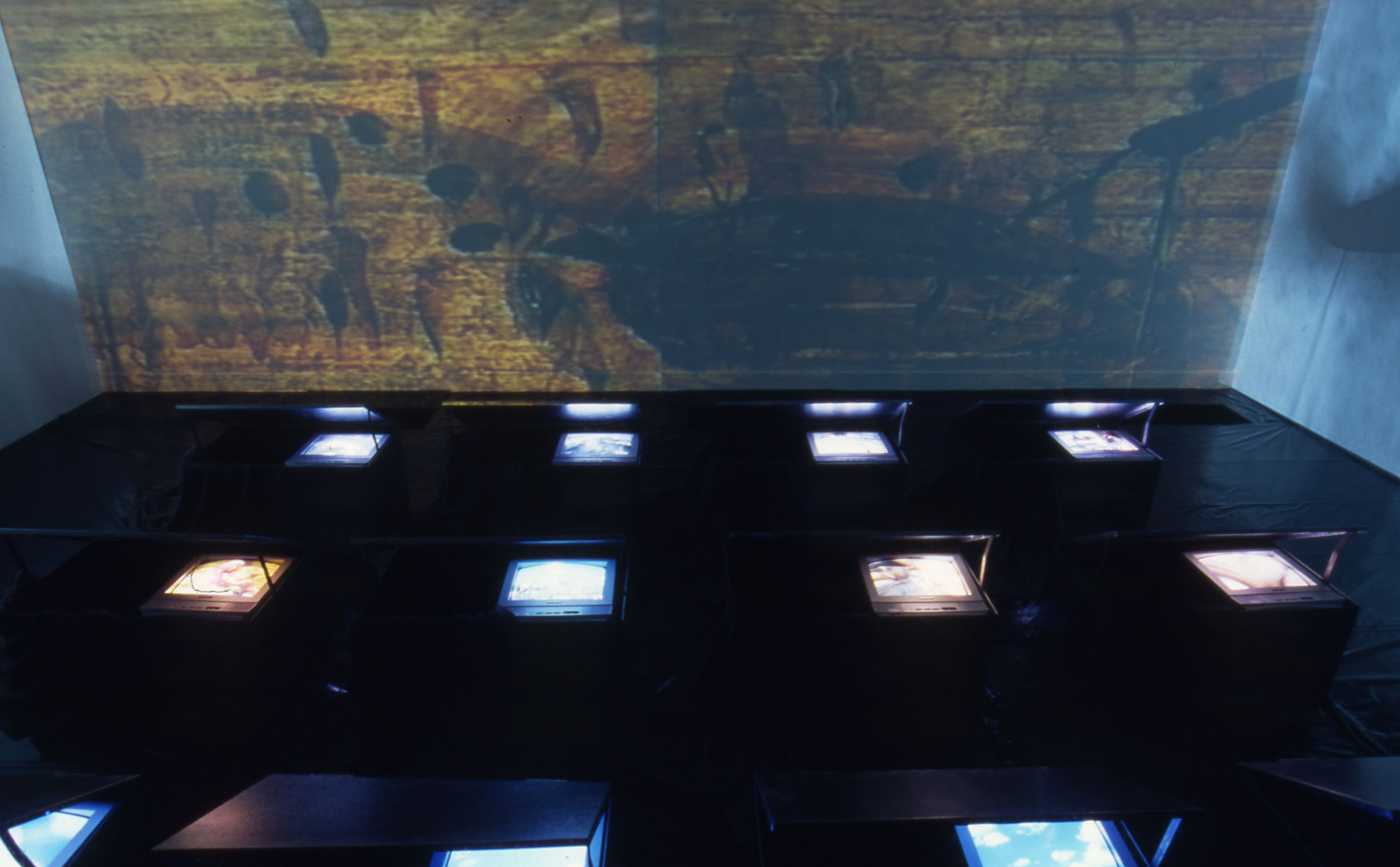 Installation view, Nalini Malani: Remembering Toba Tek Singh, Adam Art Gallery Te Pātaka Toi, Victoria University of Wellington