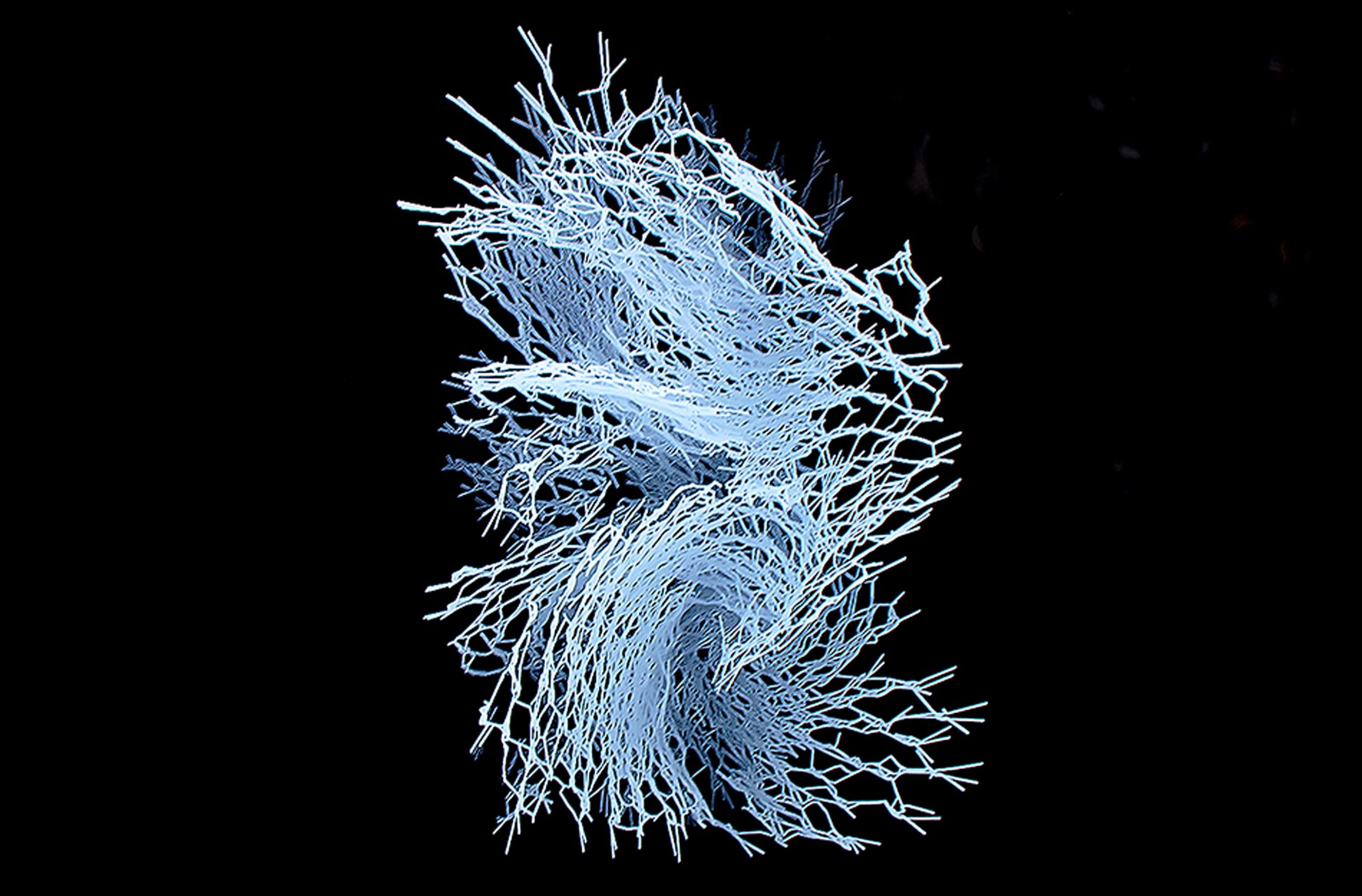 Roland Snooks, AgentBody Prototype 2015, cut steel, aluminium, video documentation, in the exhibition Drawing Is/Not Building at the Adam Art Gallery Te Pātaka Toi, Victoria University of Wellington (photo: Shaun Waugh)