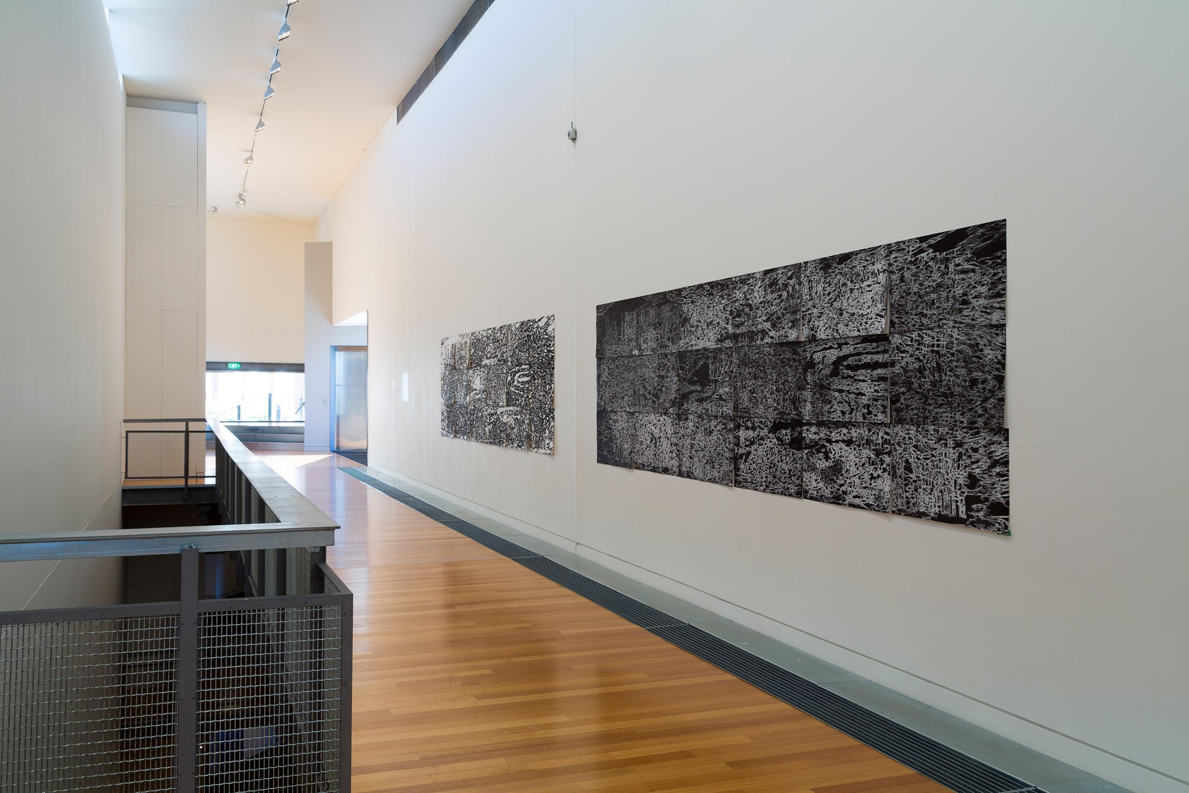 Sarah Treadwell, Oceanic Foundations: Rising Water 1 & 2, 2014, mixed media on unstretched canvas, in the exhibition Drawing Is/Not Building at the Adam Art Gallery Te Pātaka Toi, Victoria University of Wellington (photo: Shaun Waugh)