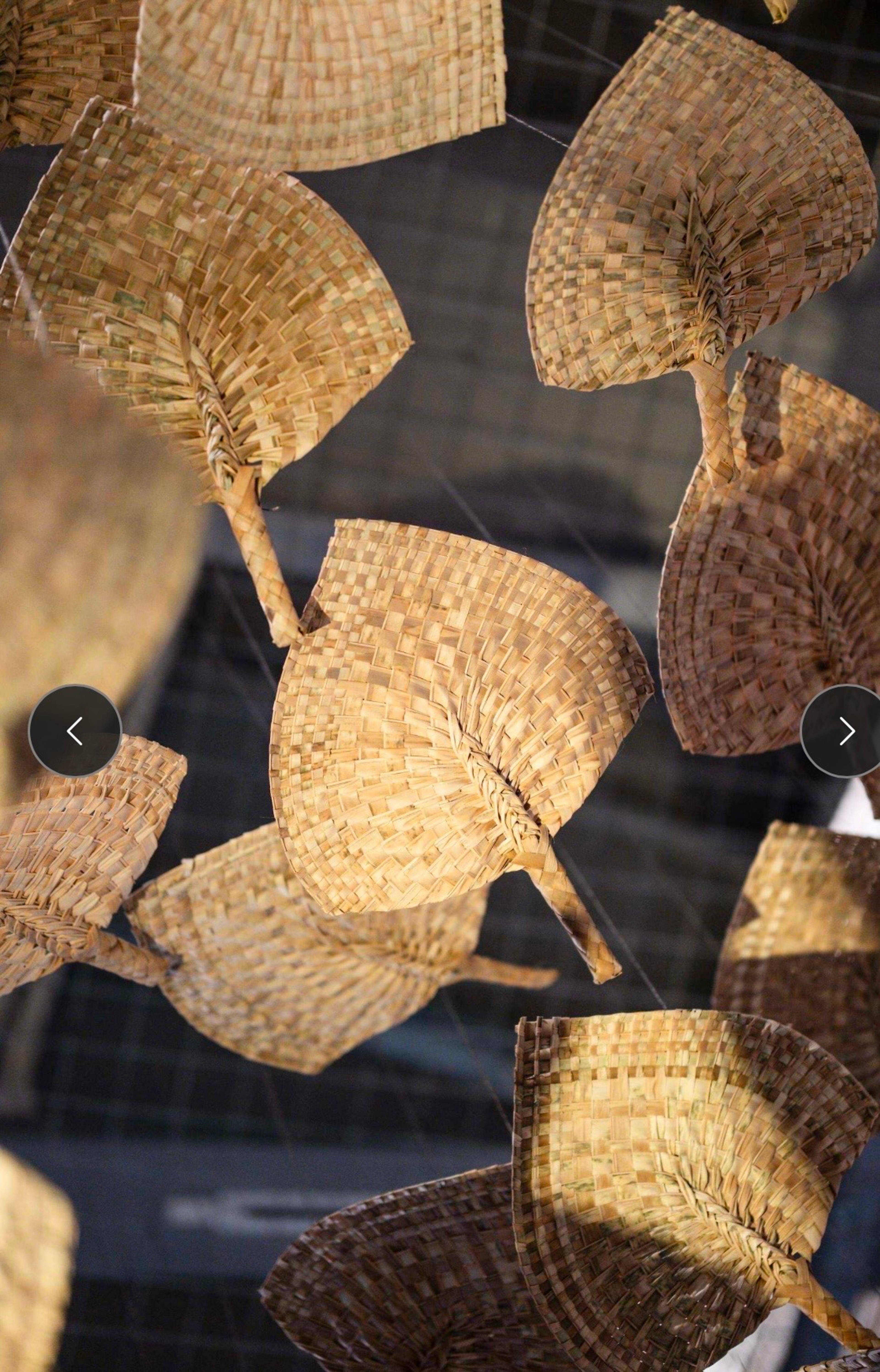 Yuki Kihara, Winds of Change, 2026, installation of 100 pandanus fans handmade by Sāmoa Victim Support Group Nofotane, suspended, dimensions variable, courtesy of the artist. Installation view, Not a solitary feeling, Te Pātaka Toi Adam Art Gallery, Te Herenga Waka—Victoria University of Wellington, 2026. Photo: Ted Whitaker, courtesy of Te Pātaka Toi Adam Art Gallery.