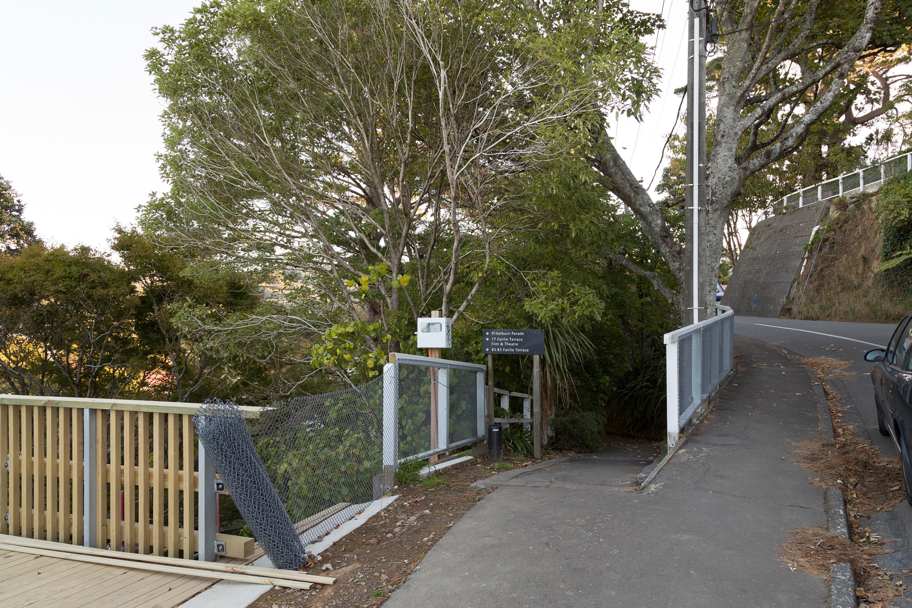 Richard Frater, Living Cities 2011–, 2015, installation view at the Adam Art Gallery, Victoria University of Wellington (photo: Shaun Waugh)