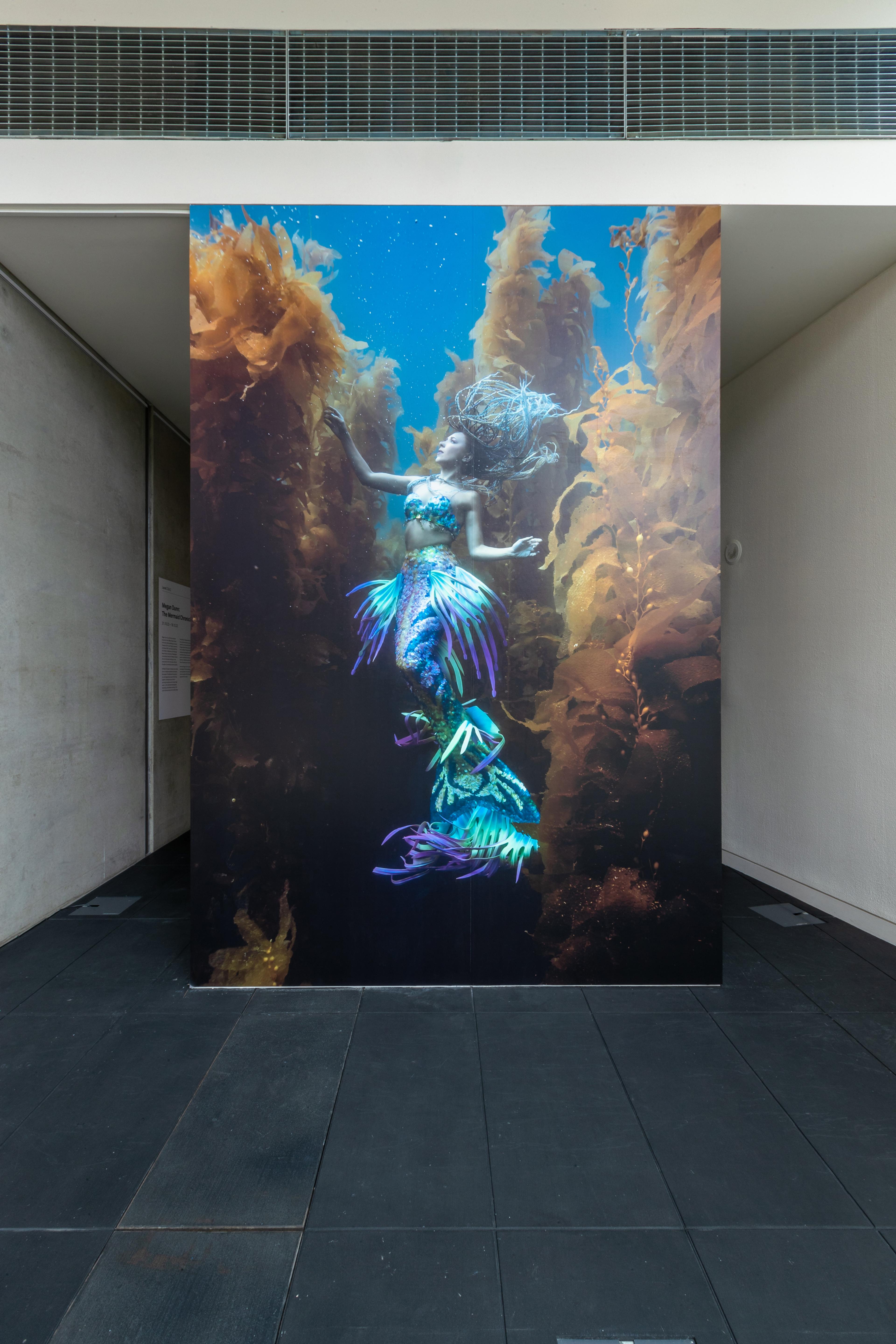 Brett Stanley, Hannah in the Kelp, 2020, colour digital print. Installation view, Megan Dunn: The Mermaid Chronicles, Te Pātaka Toi Adam Art Gallery, Te Herenga Waka Victoria University of Wellington, 2022. Photo: Ted Whitaker